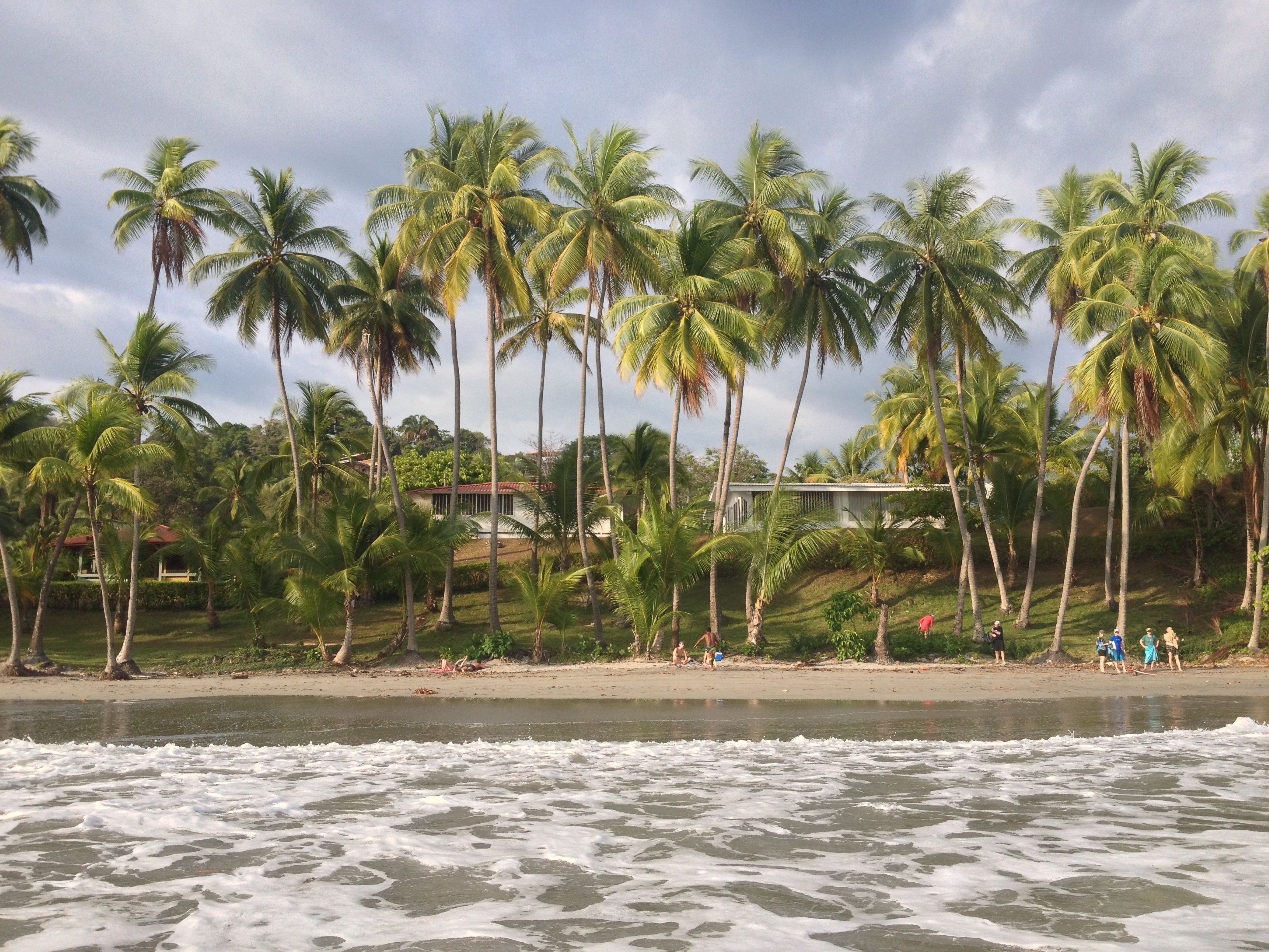 照片 哥斯达黎加(Costa Rica) 曼努埃尔安东尼奥(Manuel Antonio) 2015-03 9