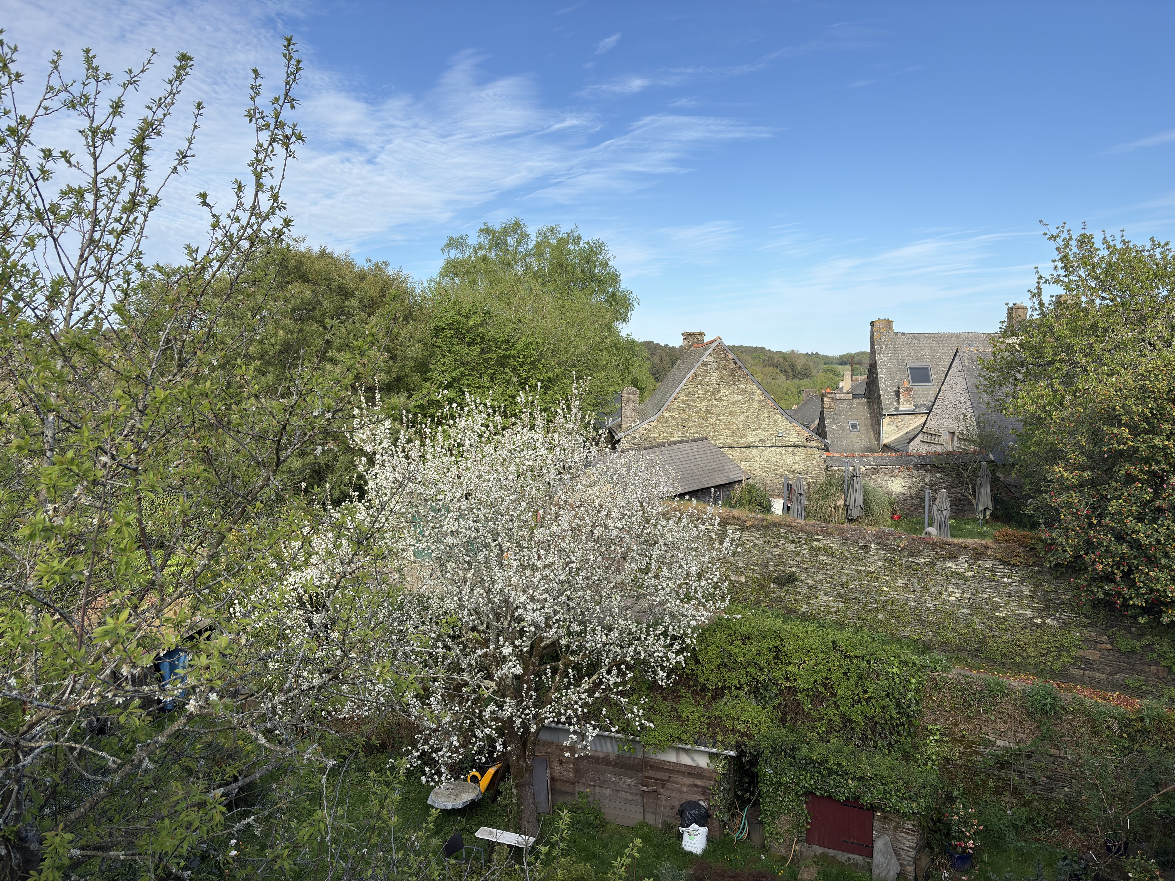 照片 法国(France) 罗什福尔昂泰尔(Rochefort en terre) 2026-04 41