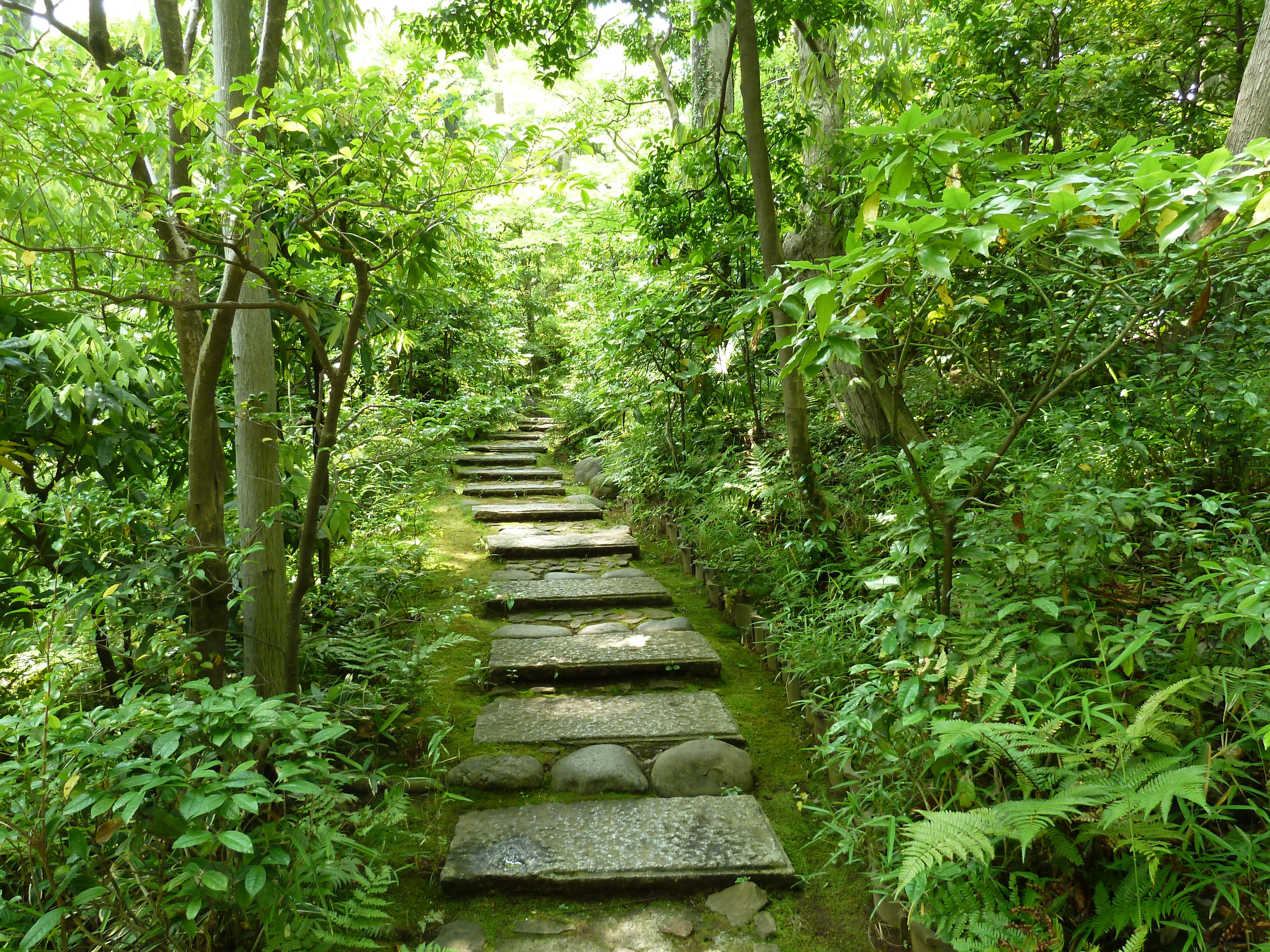 照片 日本(Japan) 东京(Tokyo) 根津美术馆(Nezu Museum) 2010-06 75