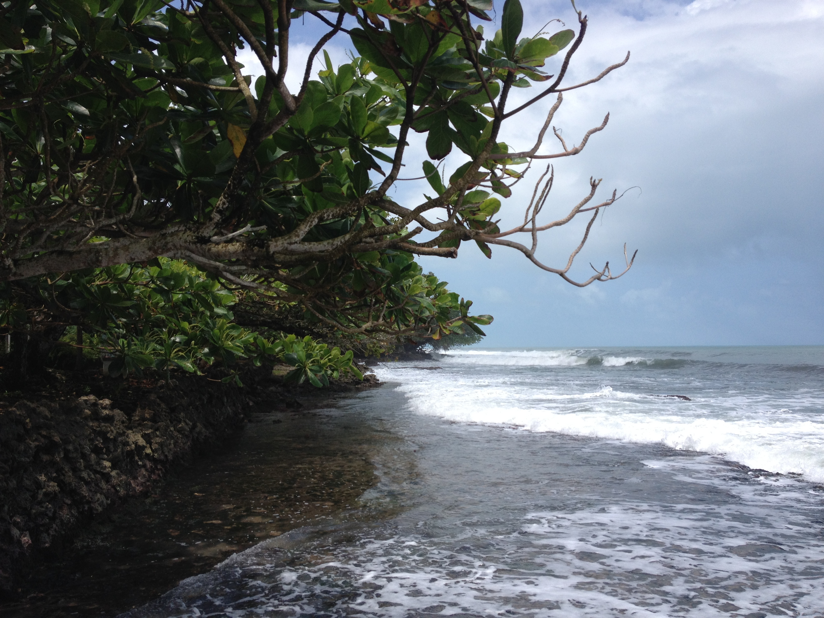 照片 哥斯达黎加(Costa Rica) 卡维塔(Cahuita) 2015-03 98