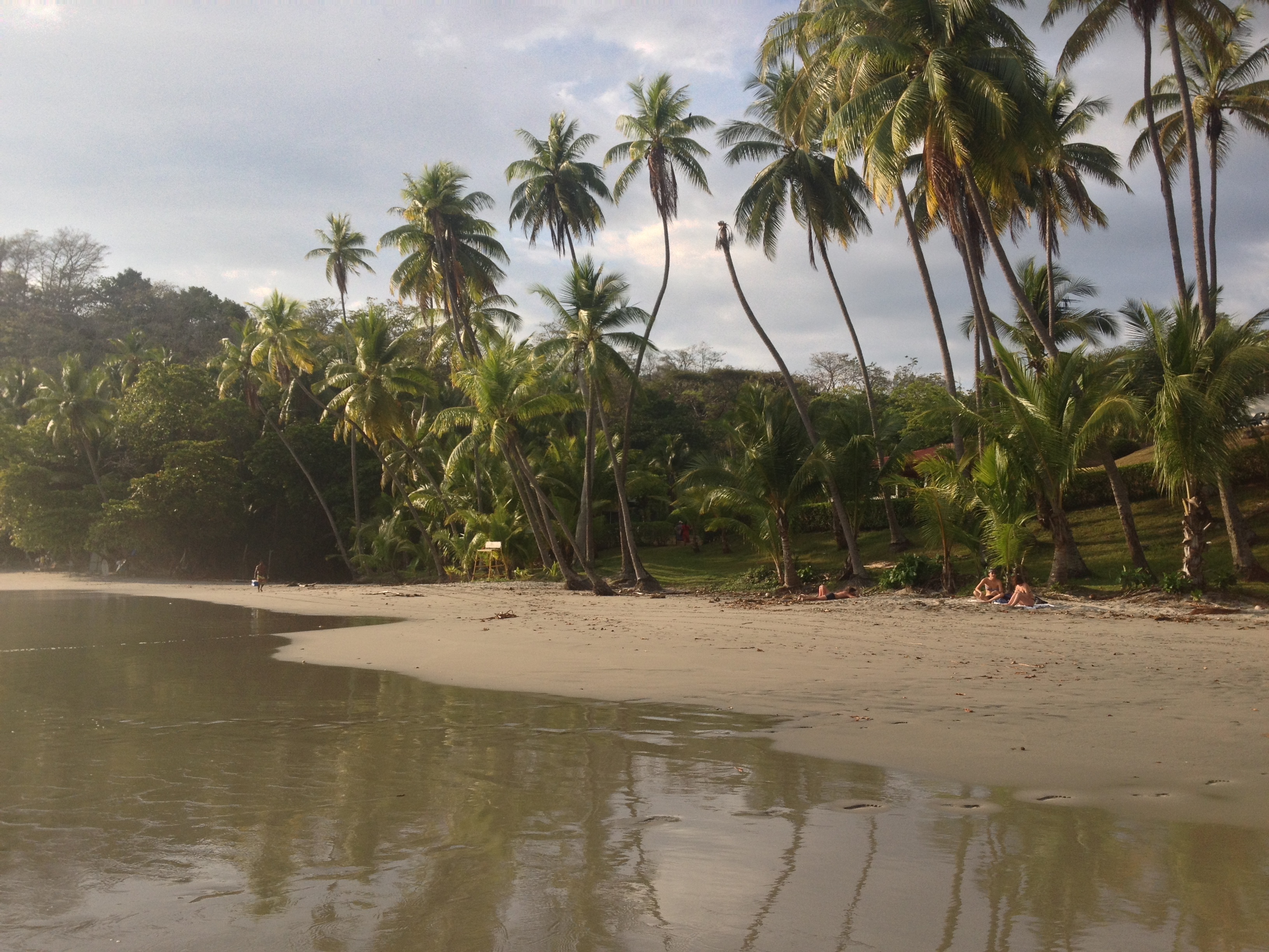 照片 哥斯达黎加(Costa Rica) 曼努埃尔安东尼奥(Manuel Antonio) 2015-03 251