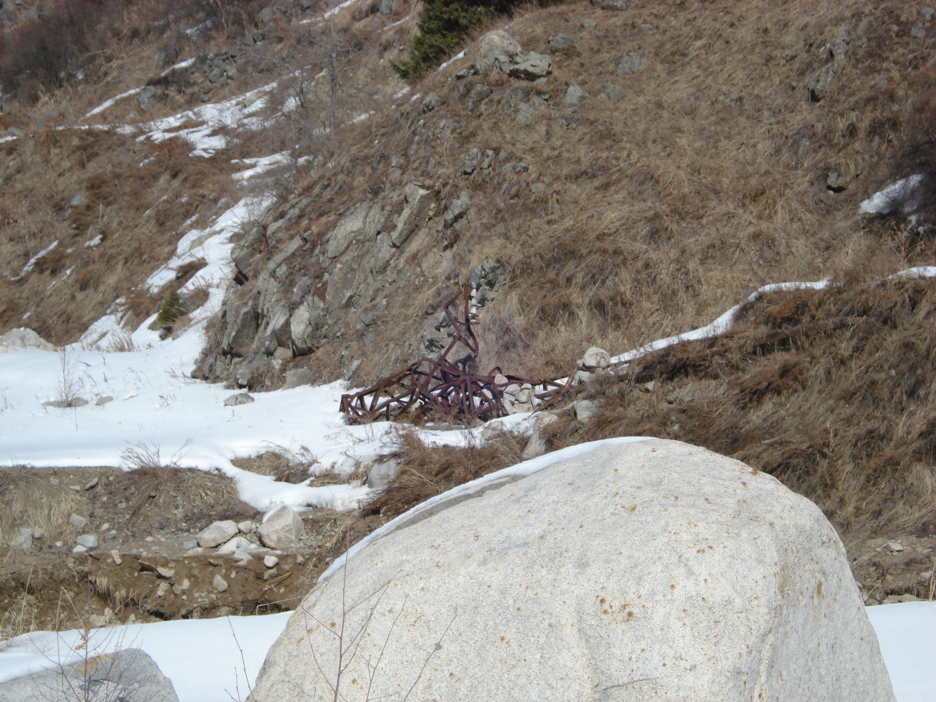 照片 哈萨克斯坦(Kazakhstan) 伊犁阿拉套国家公园(Ile Alatau National Park) 2007-03 75