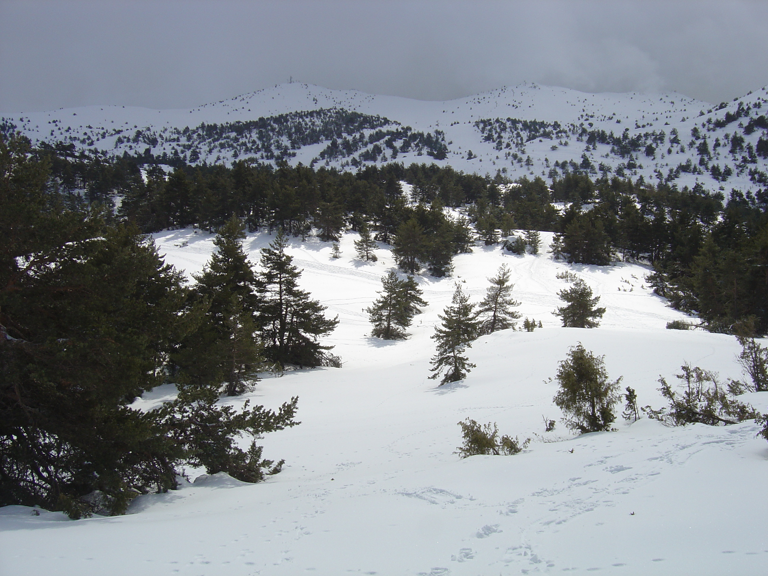 照片 法国(France) 格雷奥利耶(Greolieres) 2006-02 37