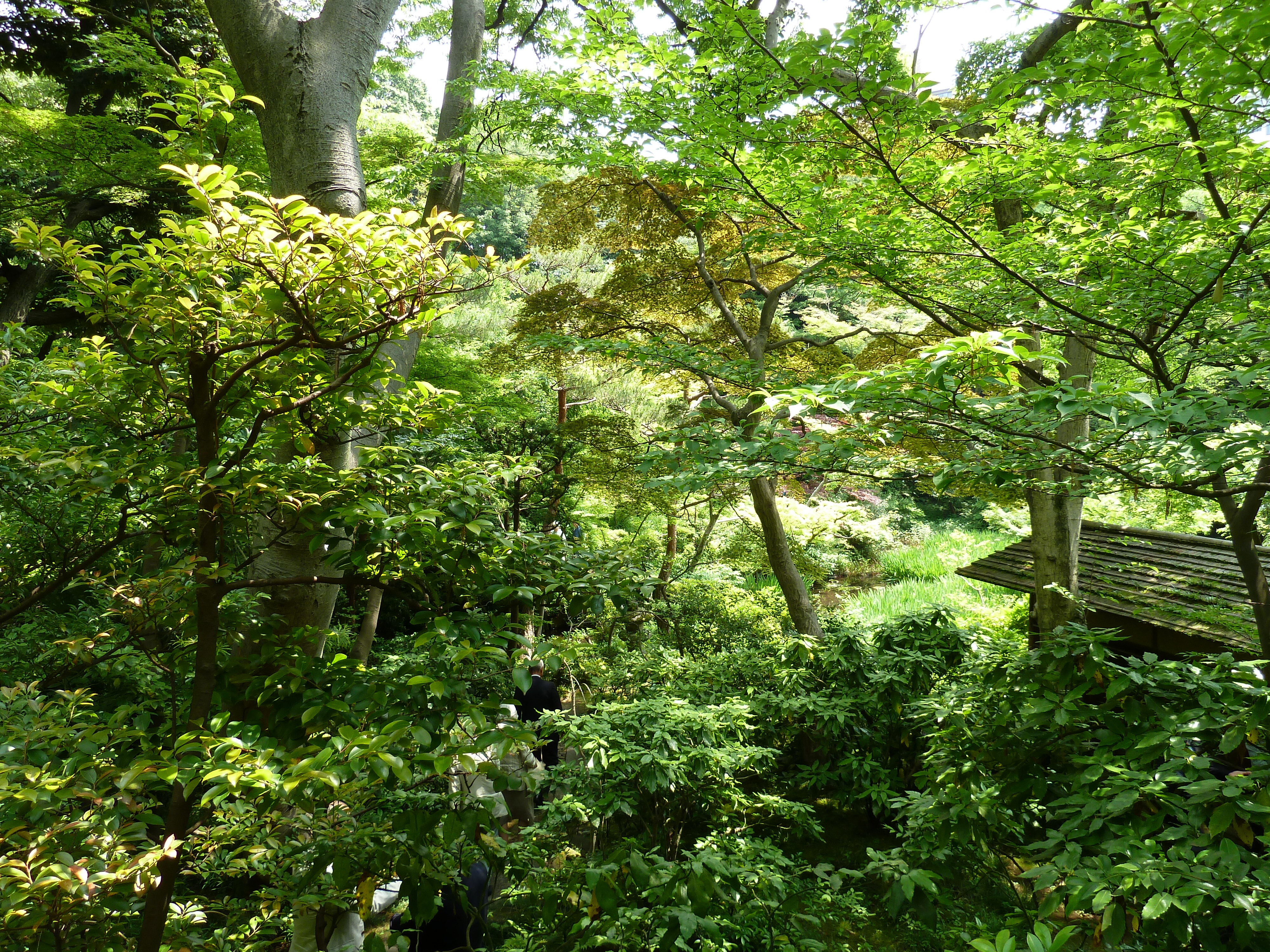 照片 日本(Japan) 东京(Tokyo) 根津美术馆(Nezu Museum) 2010-06 54