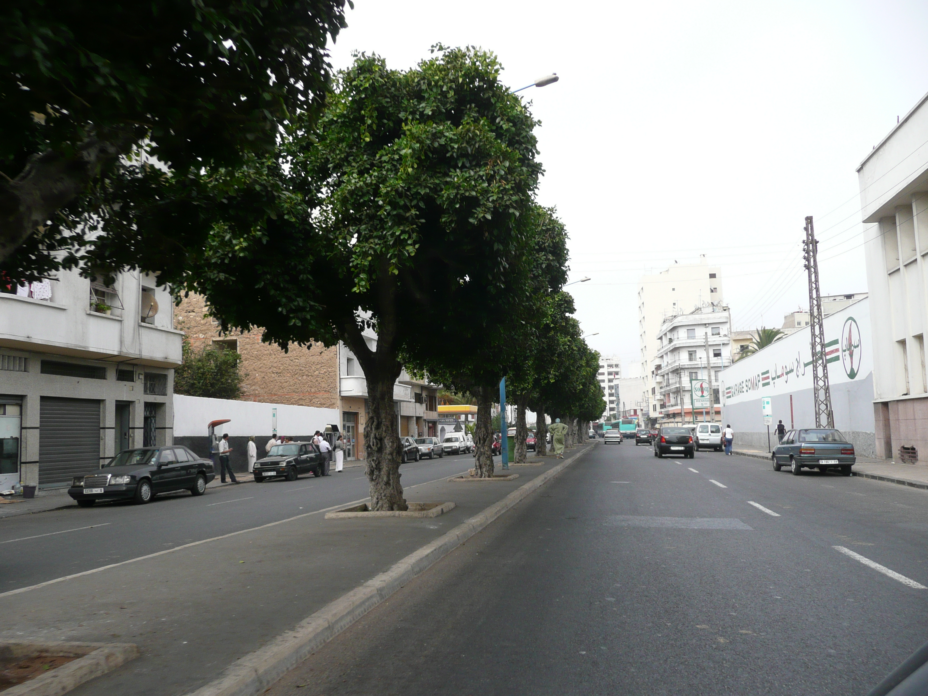 照片 摩洛哥(Morocco) 卡萨布兰卡(Casablanca) 卡萨布兰卡市中心(Casablanca Center) 2008-07 74