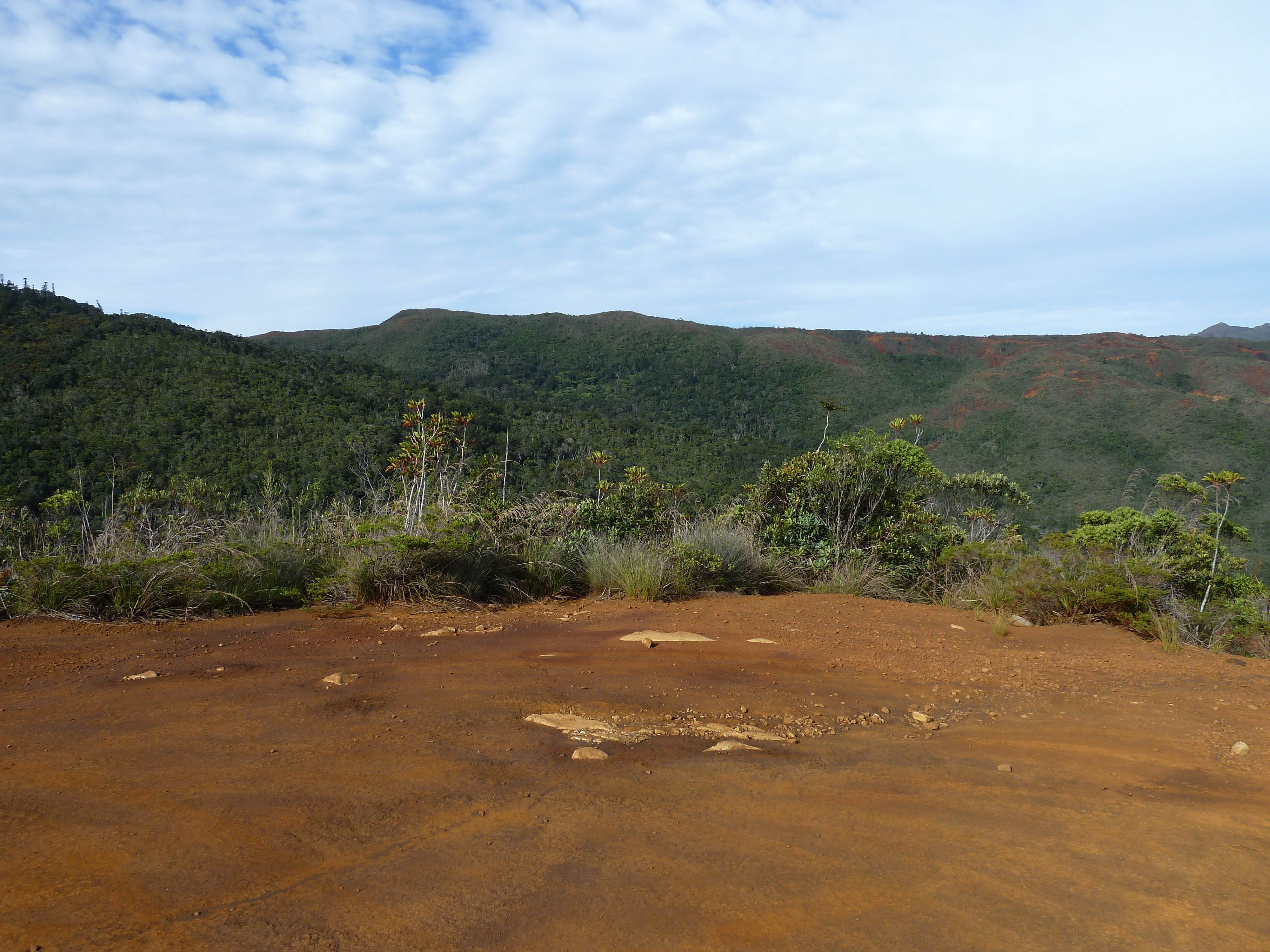 照片 新喀里多尼亚(New Caledonia) 蓝河公园(Parc de la Riviere Bleue) 2010-05 121