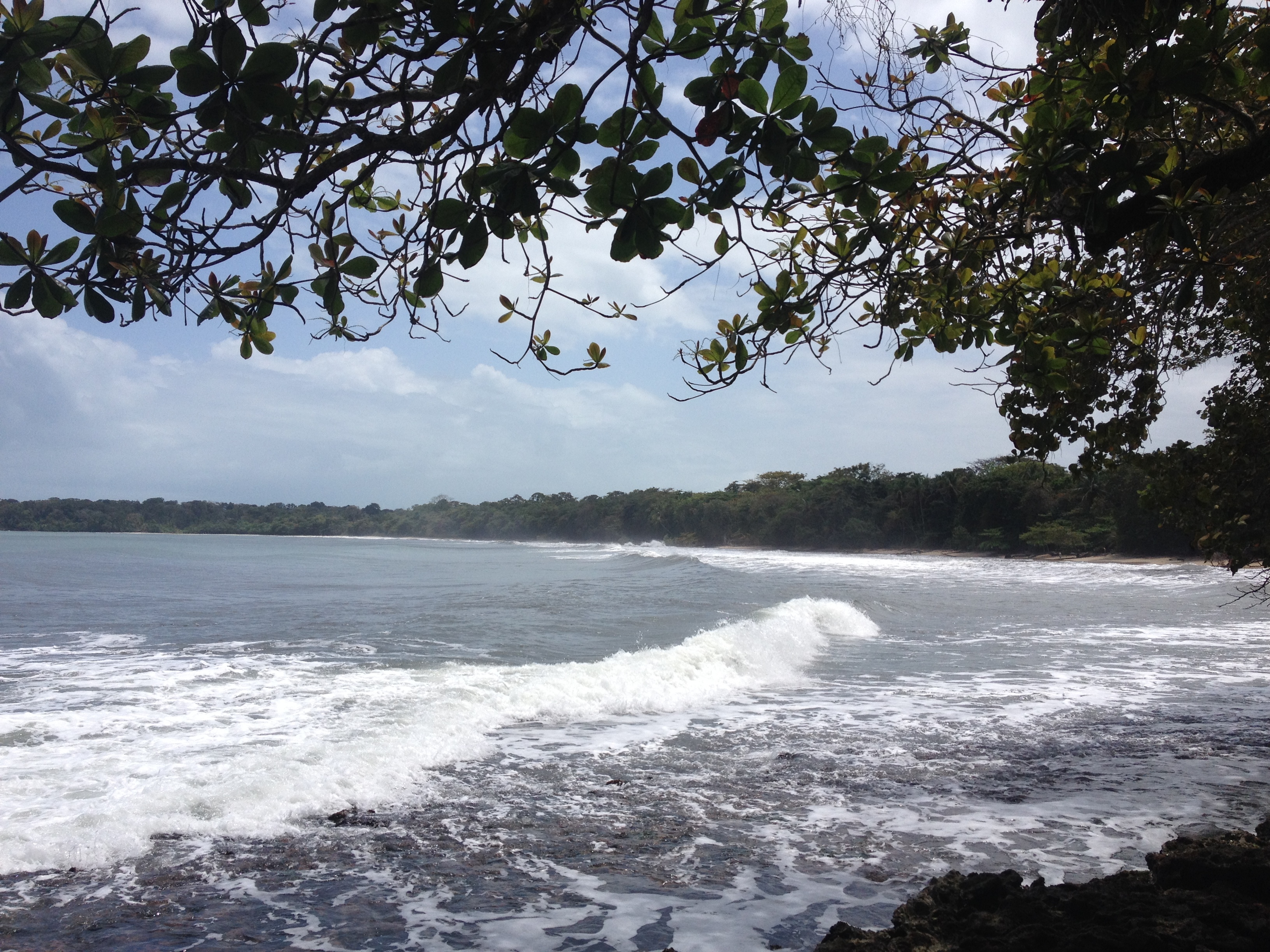 照片 哥斯达黎加(Costa Rica) 卡维塔(Cahuita) 2015-03 163