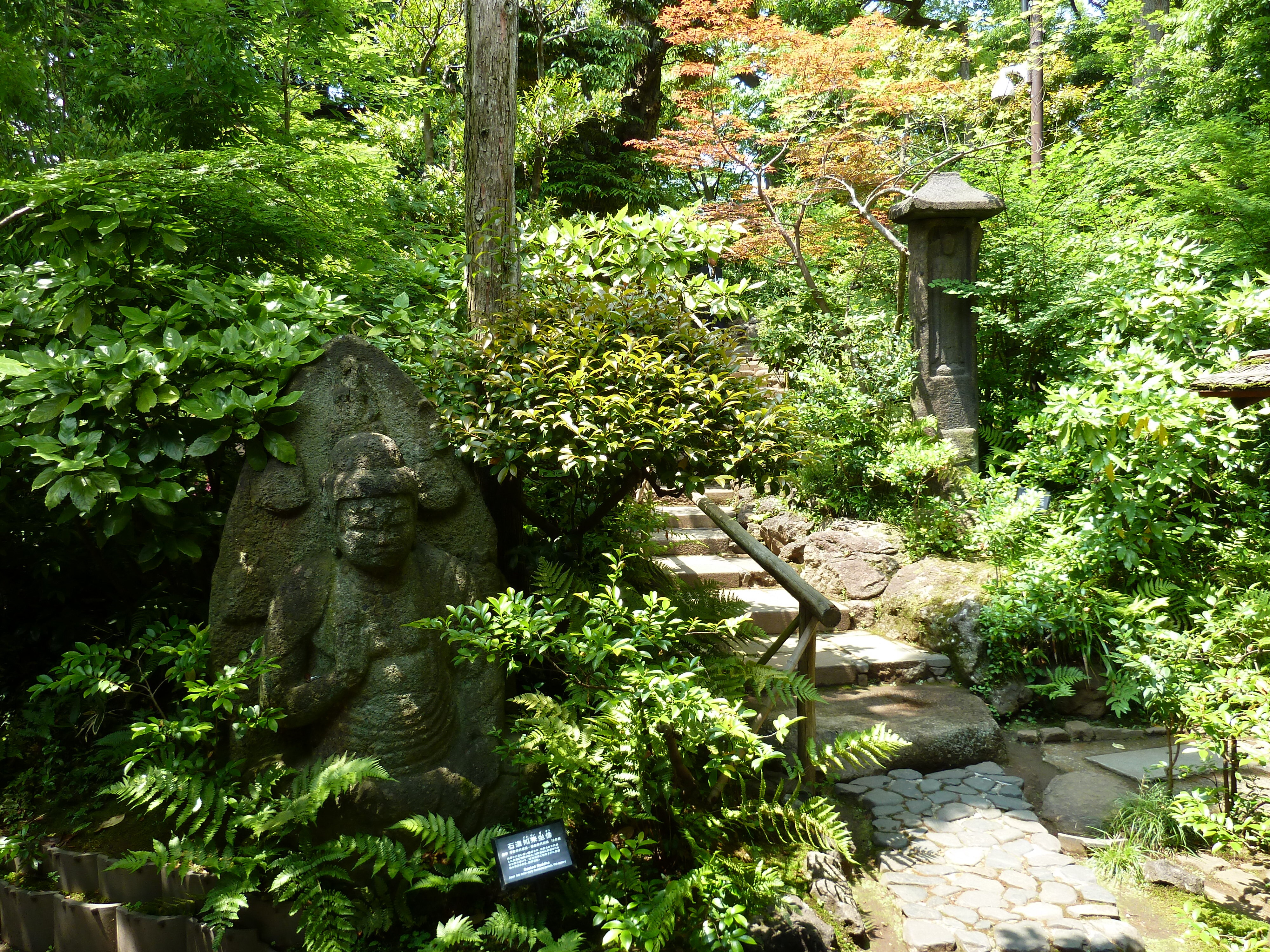 照片 日本(Japan) 东京(Tokyo) 根津美术馆(Nezu Museum) 2010-06 30