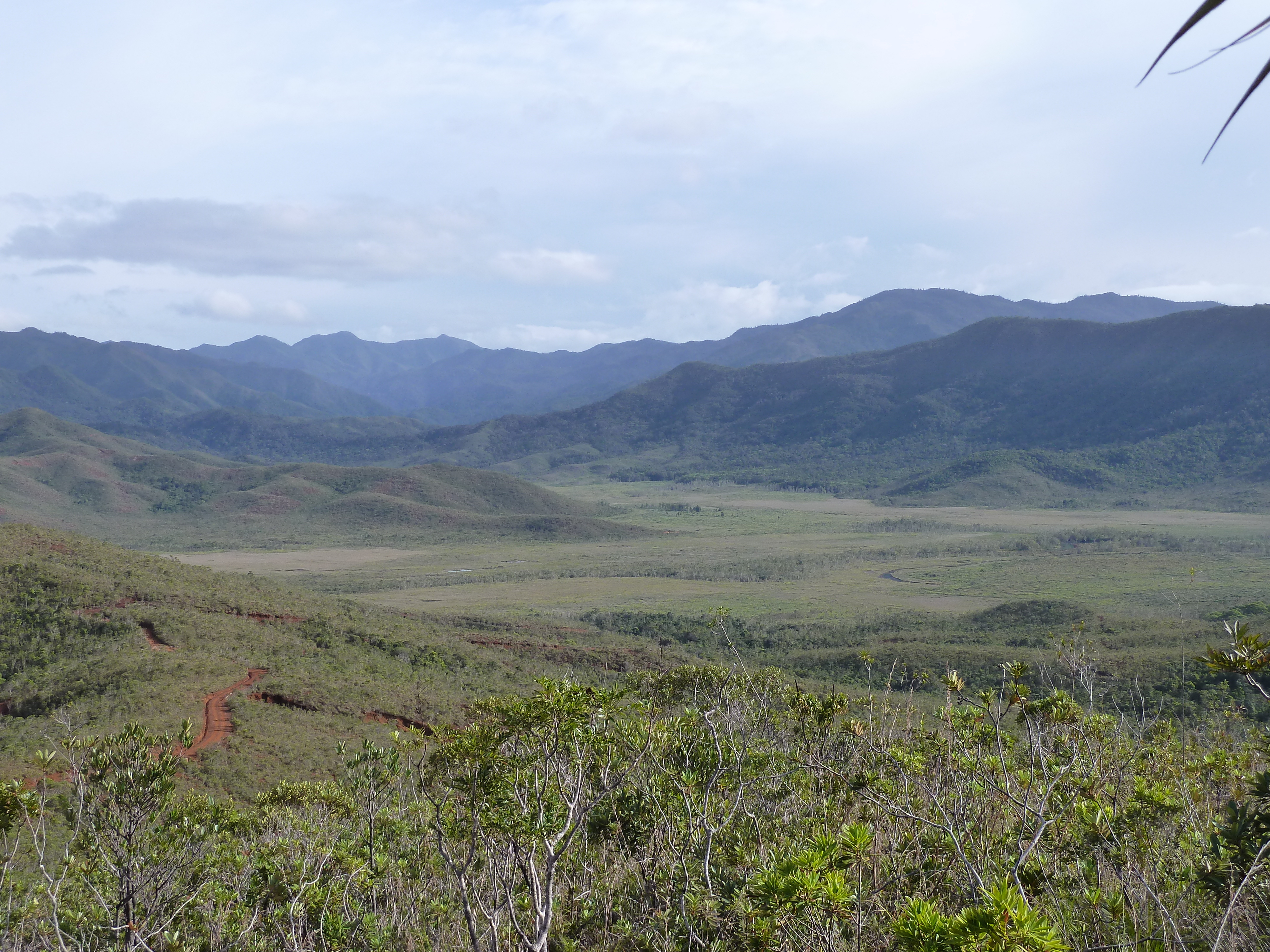 照片 新喀里多尼亚(New Caledonia) 蓝河公园(Parc de la Riviere Bleue) 2010-05 140