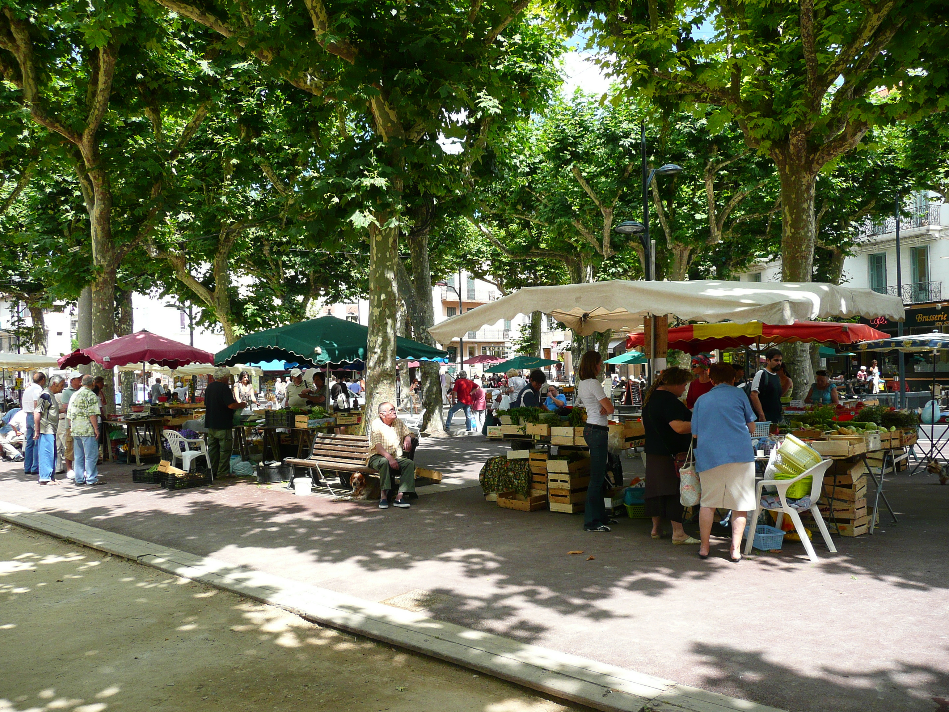 照片 法国(France) 旺斯(Vence) 大花园广场(Place du Grand Jardin) 2007-07 27