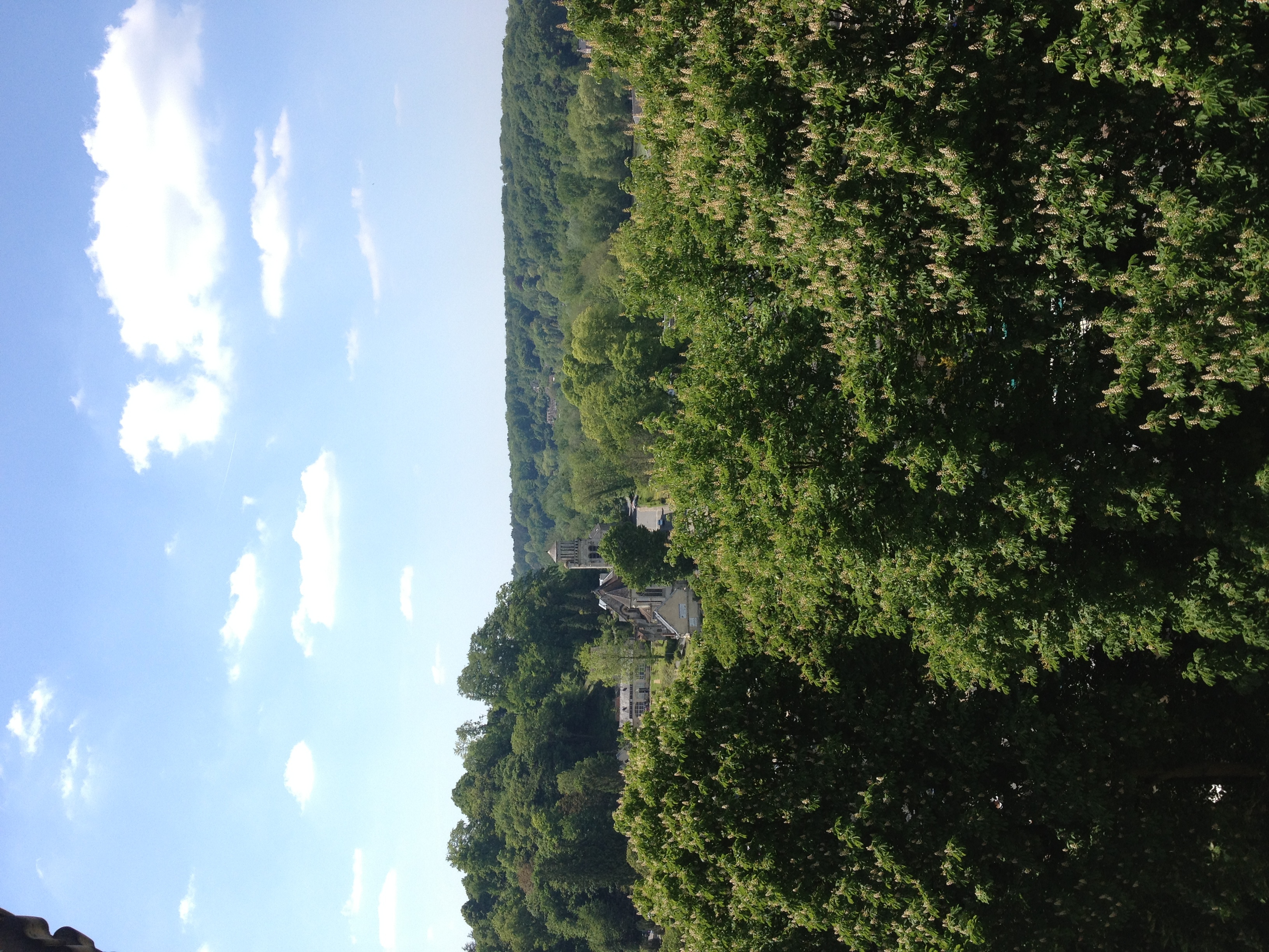 照片 法国(France) 皮埃尔丰(Pierrefonds) 2014-05 322