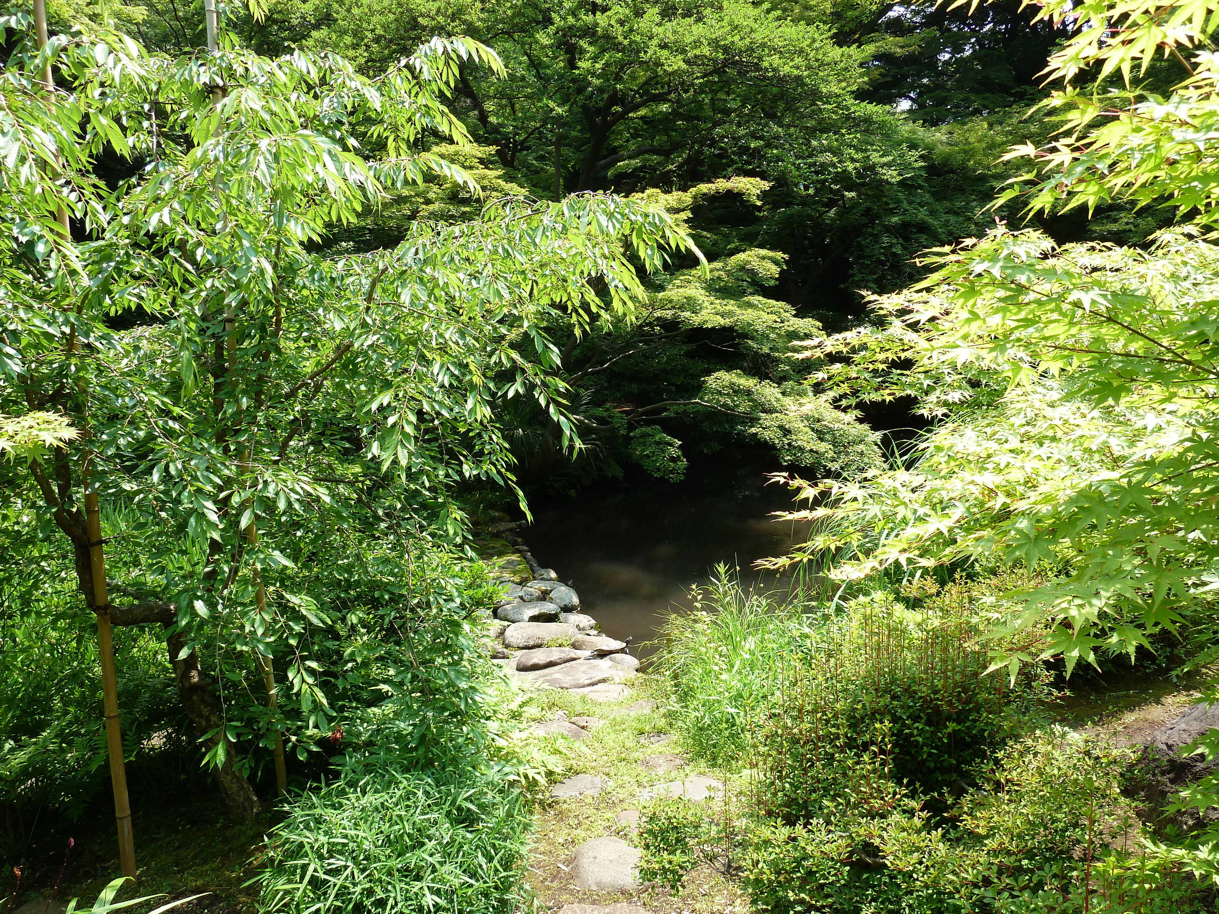 照片 日本(Japan) 东京(Tokyo) 根津美术馆(Nezu Museum) 2010-06 107