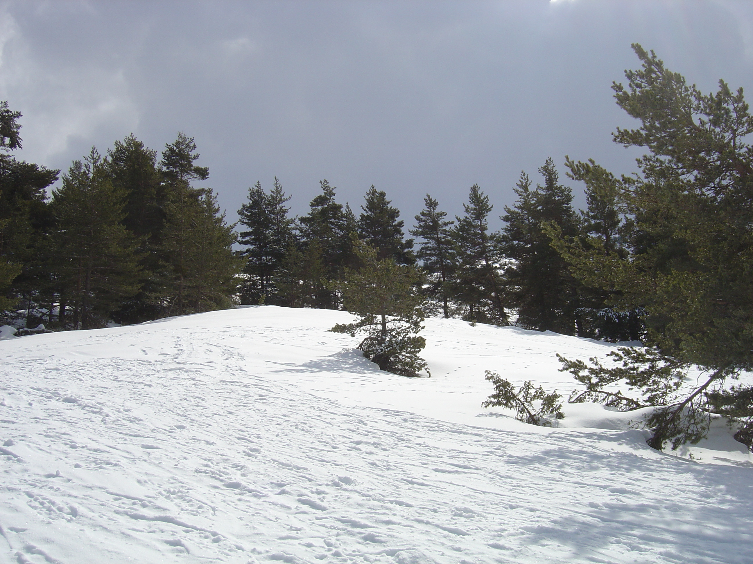 照片 法国(France) 格雷奥利耶(Greolieres) 2006-02 36