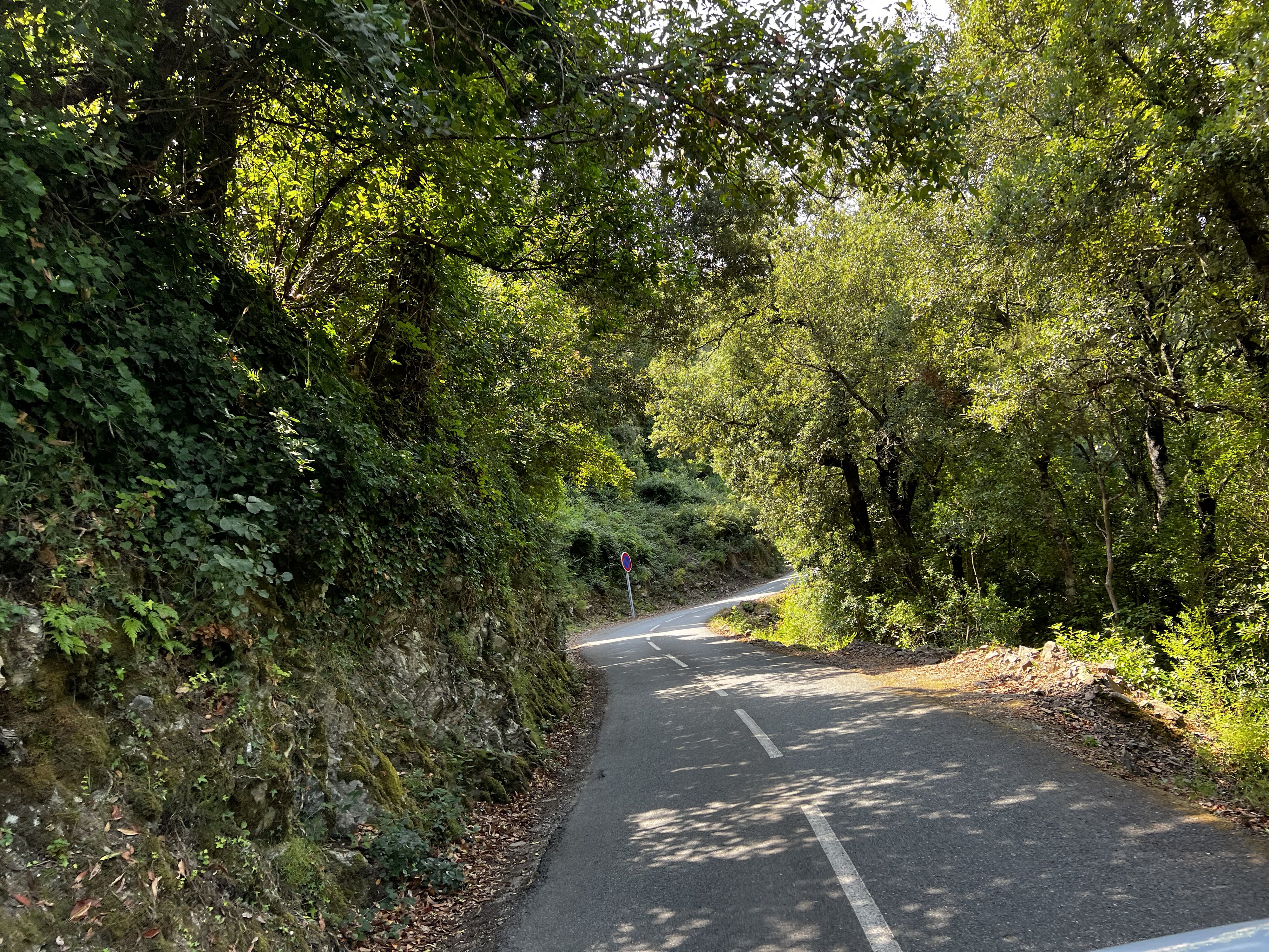 照片 法国(France) 科西嘉岛(Corsica) 基萨(Chisa) 2022-08 17
