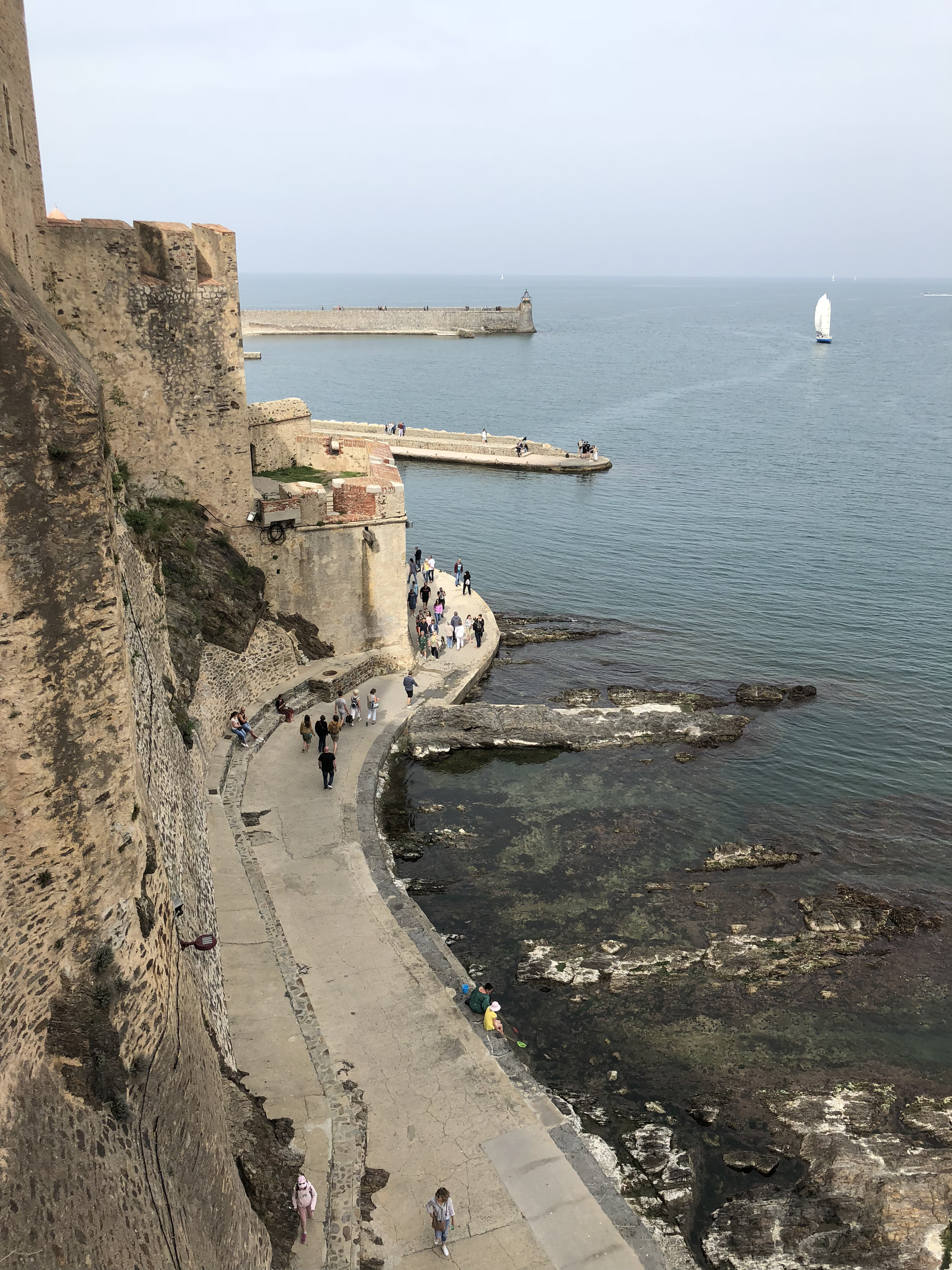 照片 法国(France) 科利乌尔(Collioure) 2018-04 254