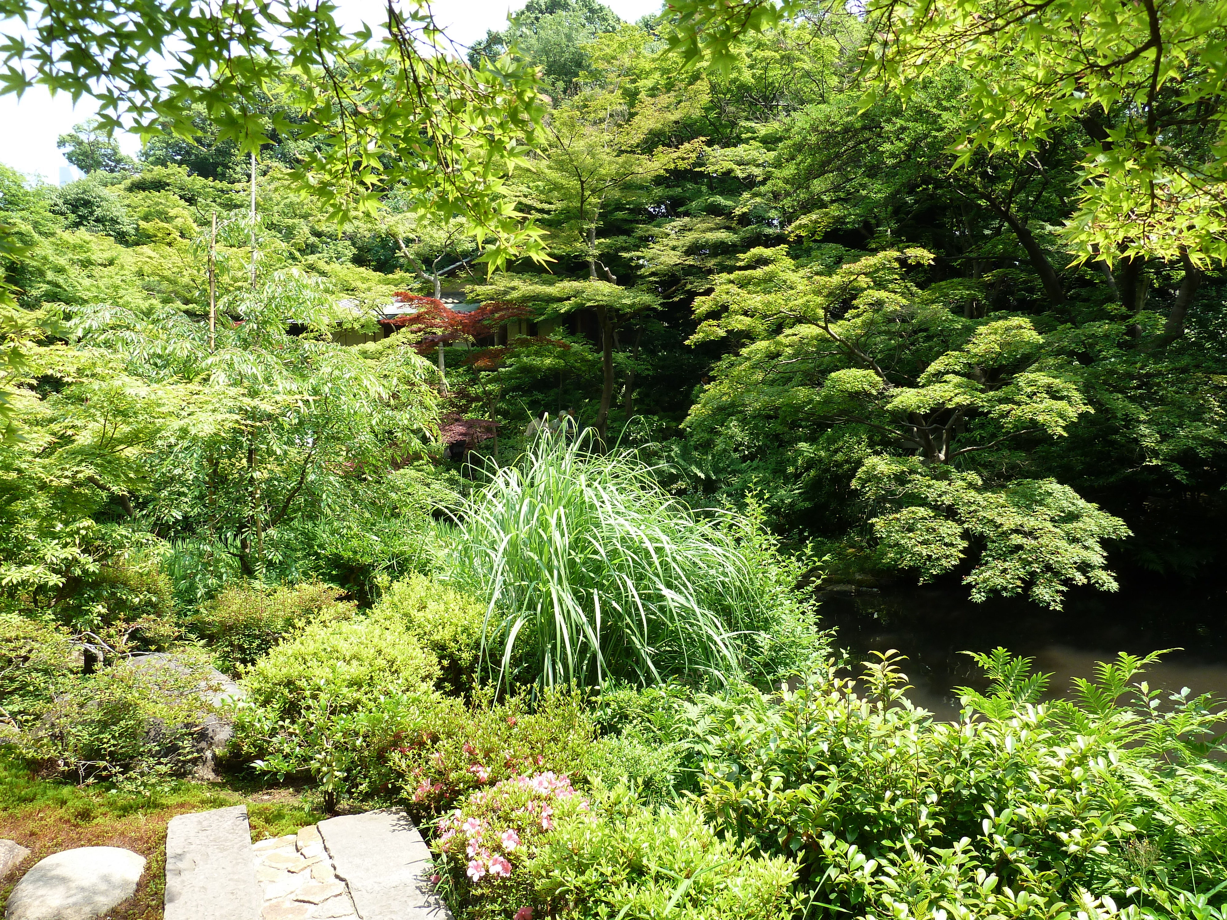 照片 日本(Japan) 东京(Tokyo) 根津美术馆(Nezu Museum) 2010-06 48