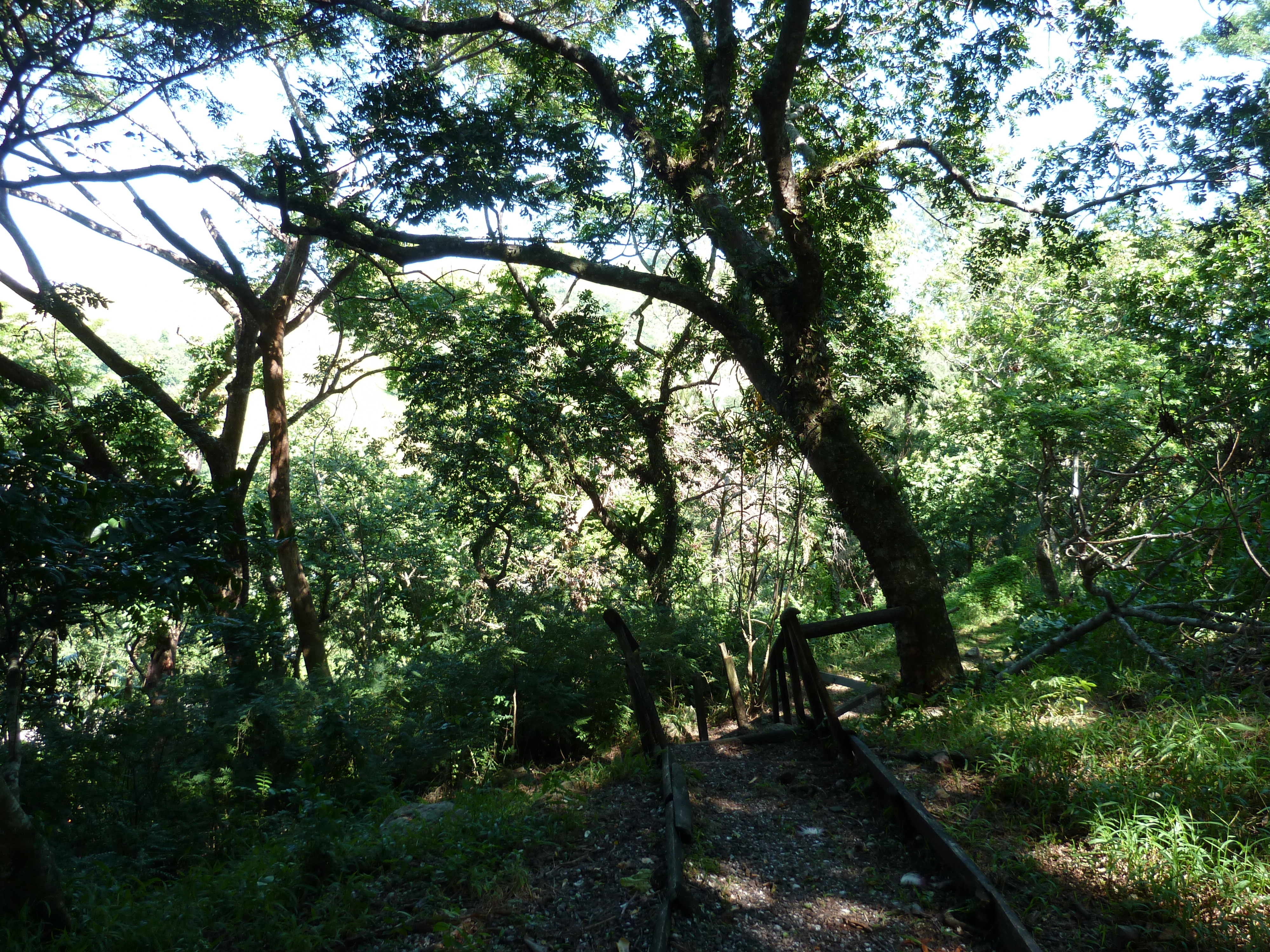 照片 斐济(Fiji) 塔武尼山堡(Tavuni Hill Fort) 2010-05 31