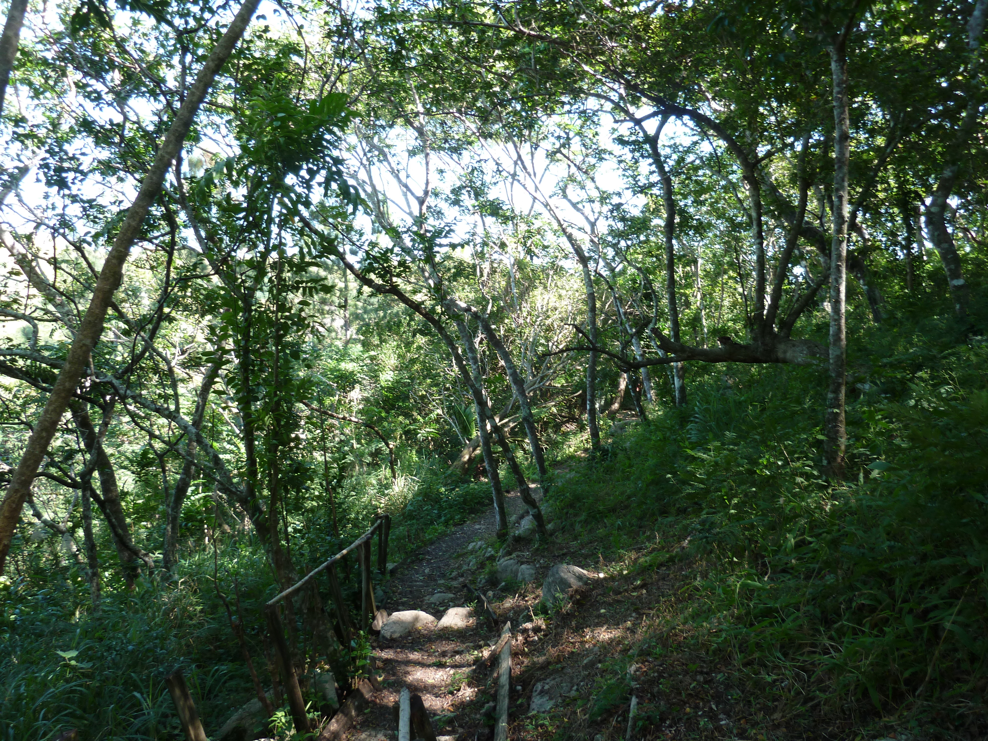 照片 斐济(Fiji) 塔武尼山堡(Tavuni Hill Fort) 2010-05 23