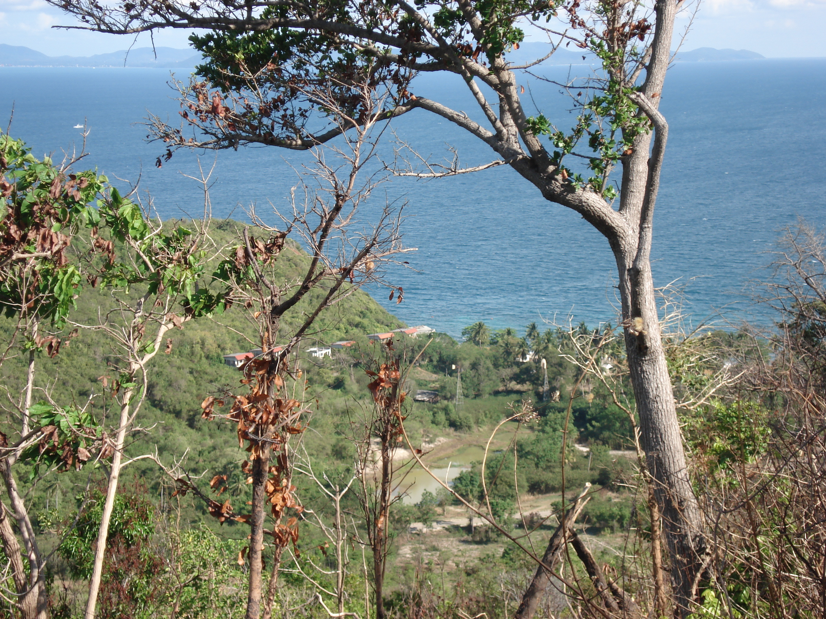 照片 泰国(Thailand) 芭提雅(Pattaya) 格兰岛(Ko Larn) 2006-04 147