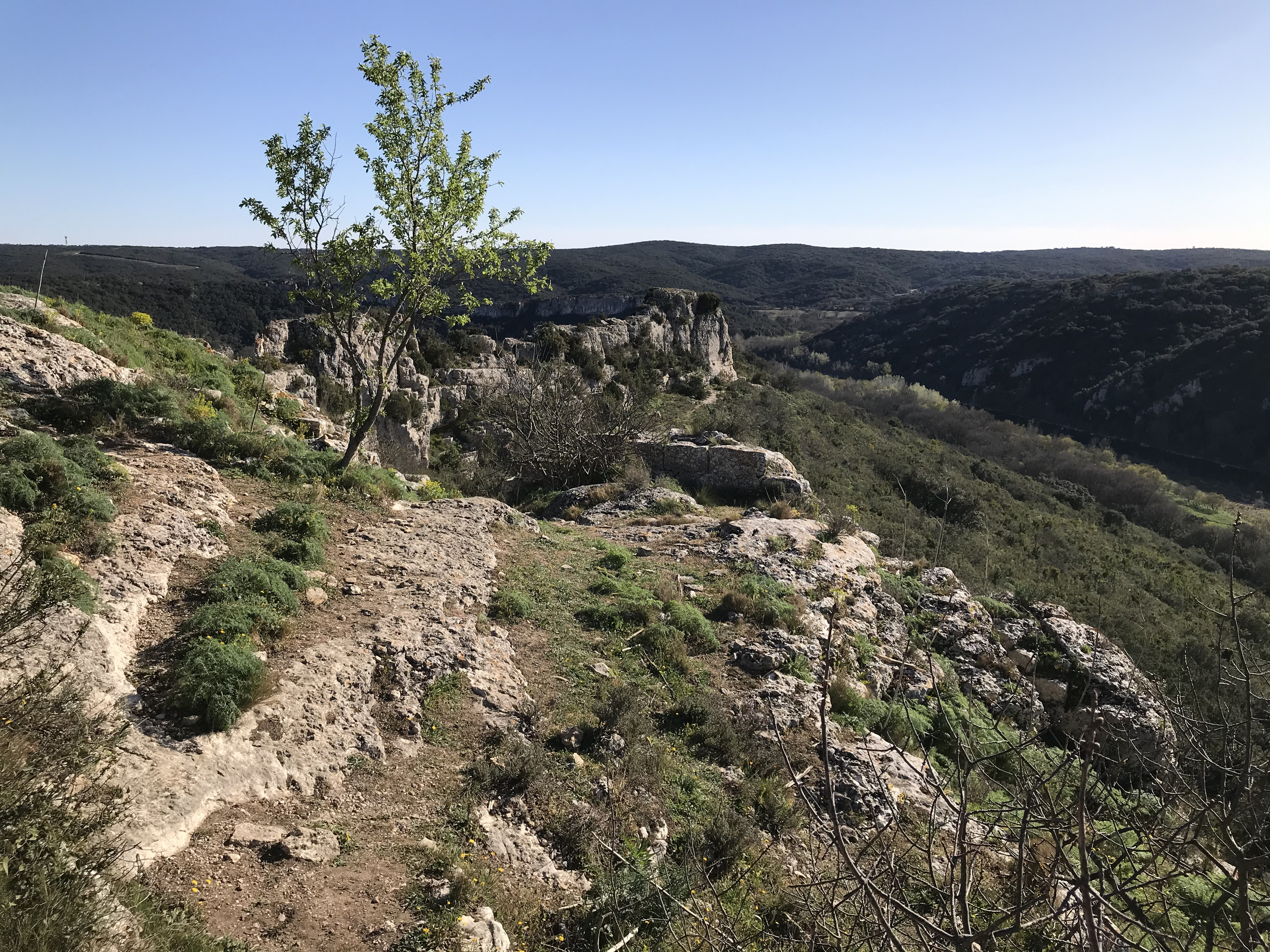照片 法国(France) 尼姆(Nimes) 2021-05 38