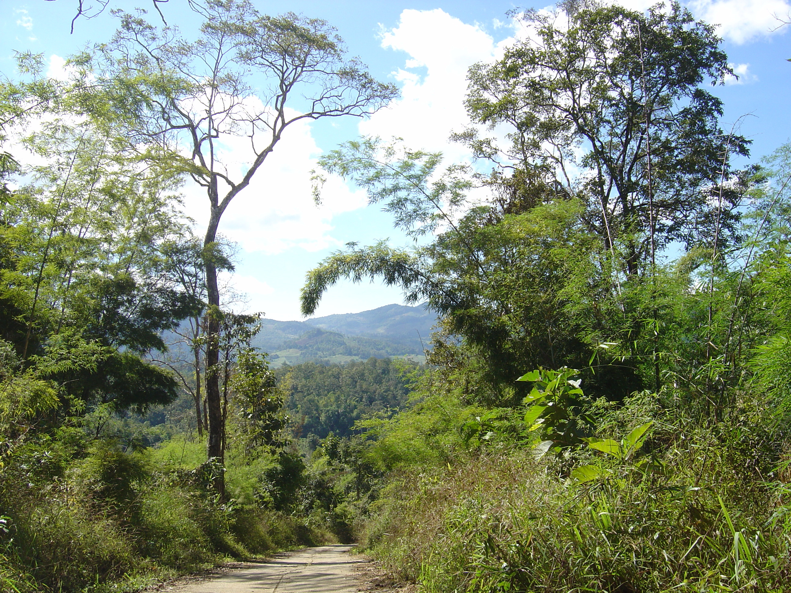 照片 泰国(Thailand) 邦玛帕(Pang Mapha) 2005-12 175