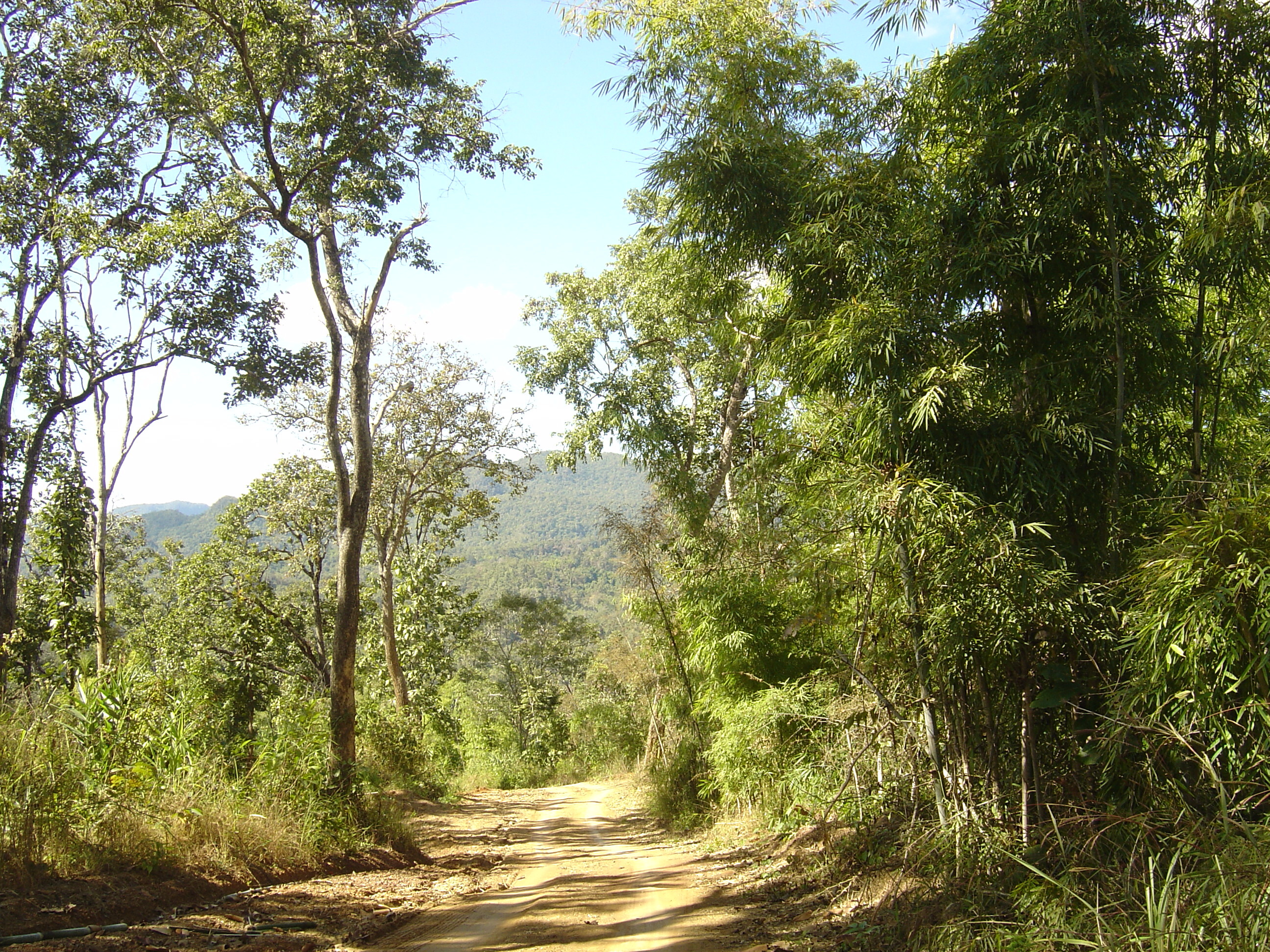 照片 泰国(Thailand) 邦玛帕(Pang Mapha) 2005-12 190