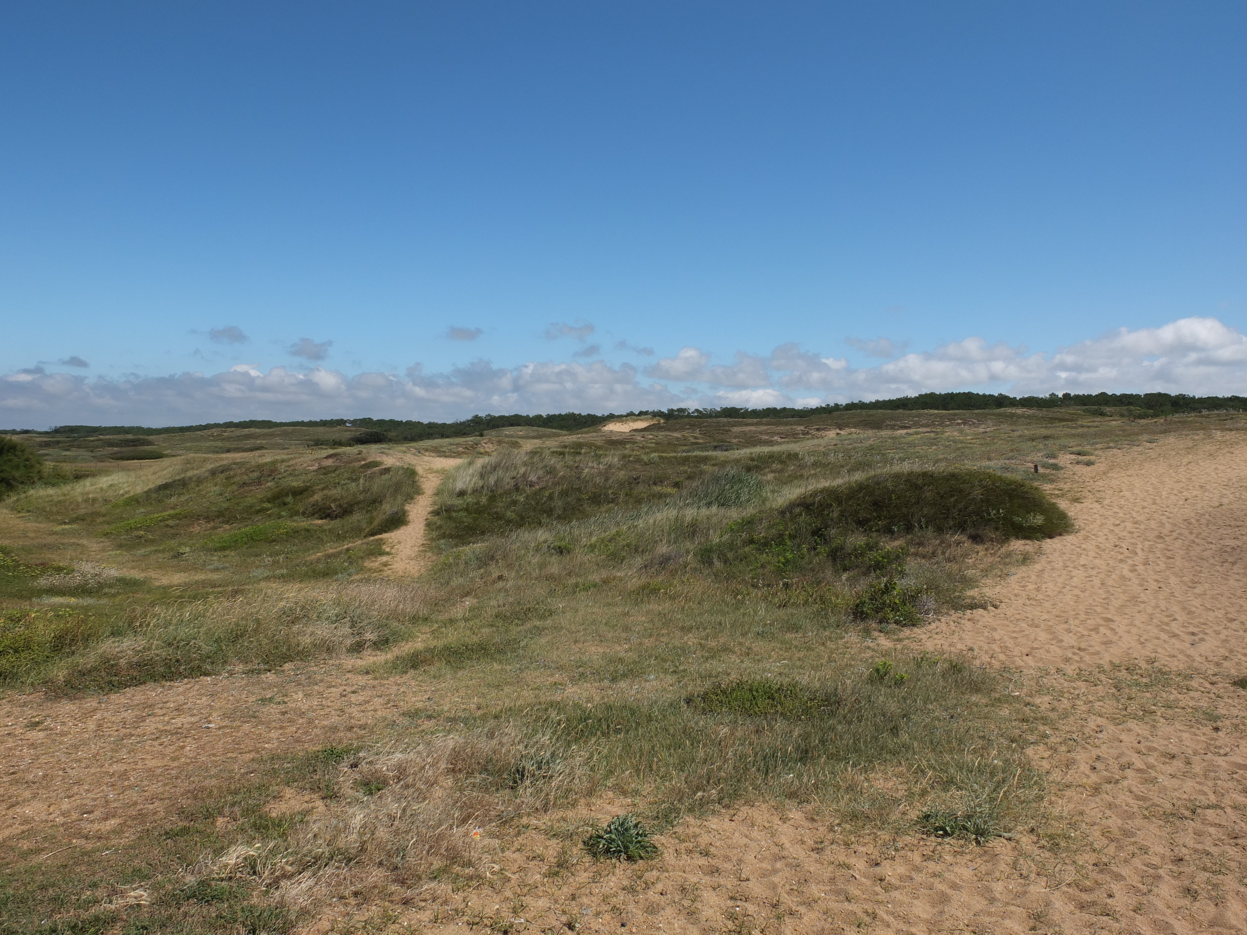照片 法国(France) 萨布勒多洛讷(Les Sables d'Olonne) 2012-07 52