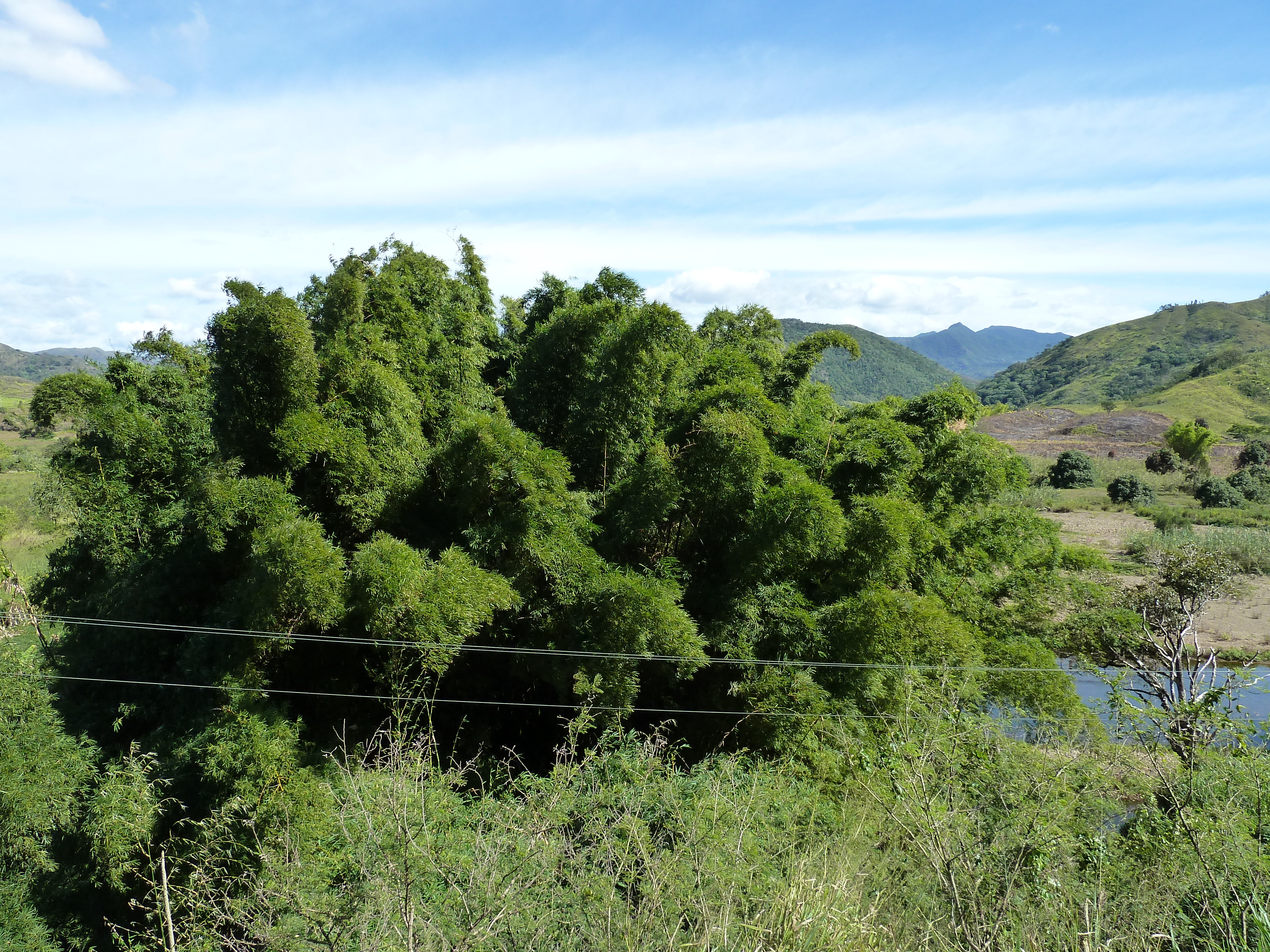 照片 新喀里多尼亚(New Caledonia) 通图塔至蒂奥公路(Tontouta to Thio road) 2010-05 106