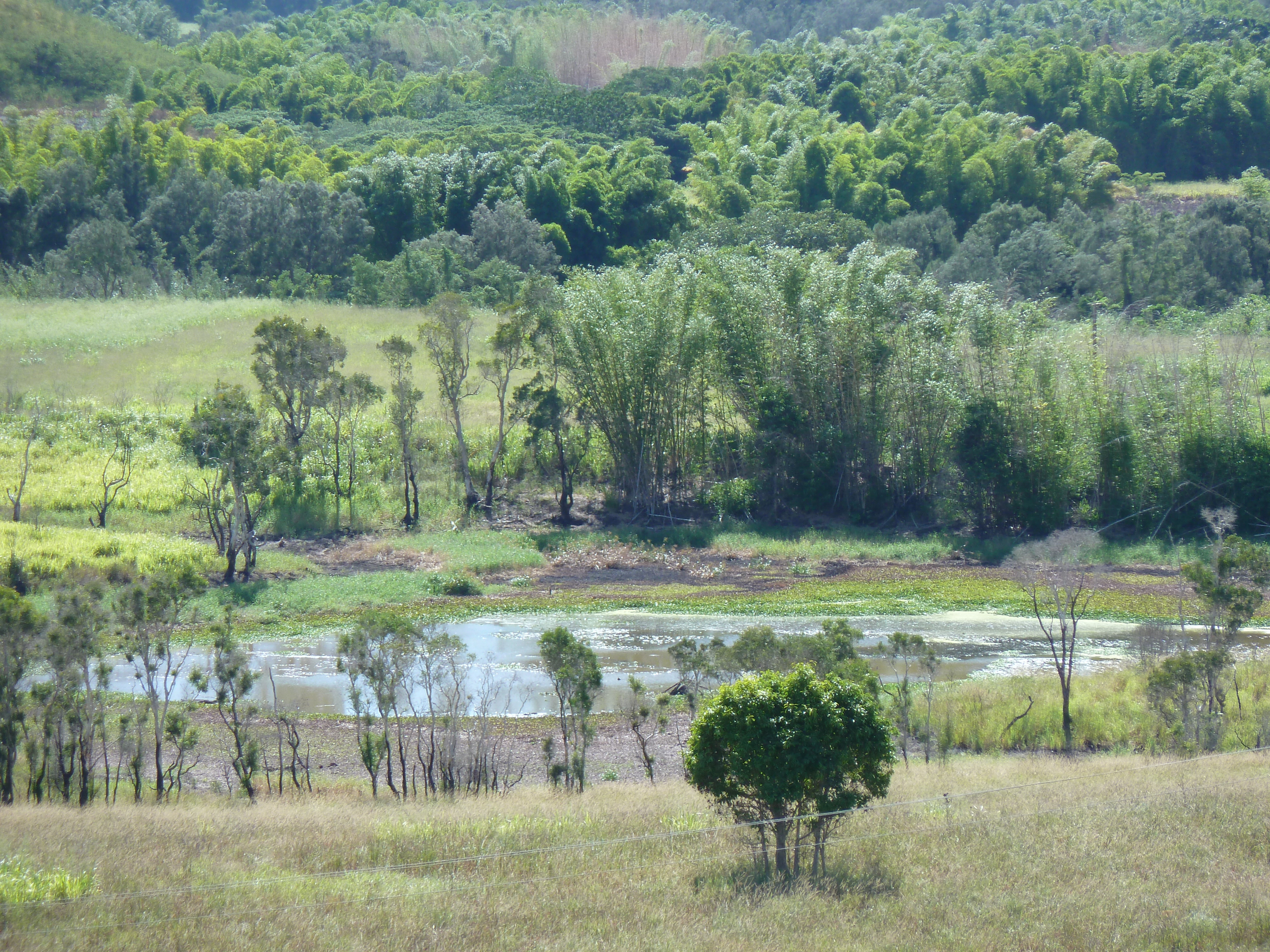 照片 新喀里多尼亚(New Caledonia) 通图塔至蒂奥公路(Tontouta to Thio road) 2010-05 130