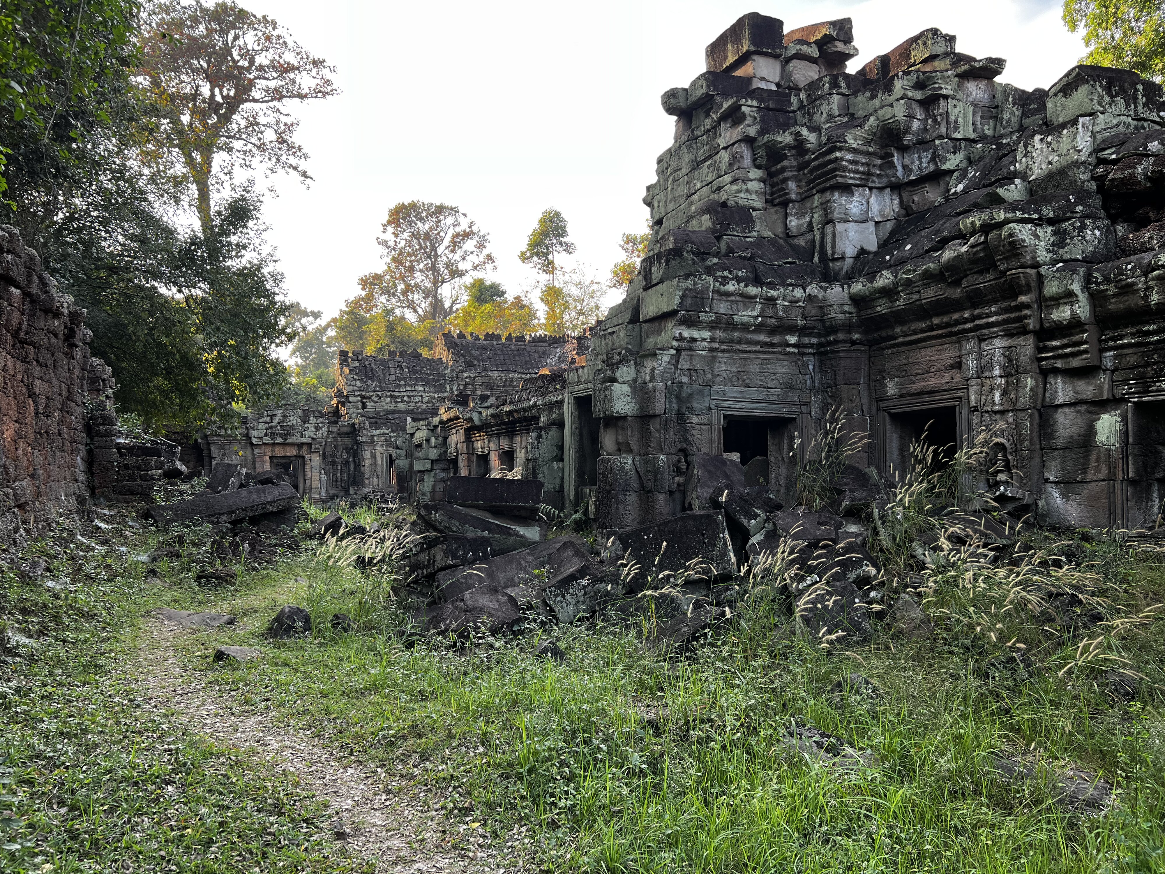 照片 柬埔寨(Cambodia) 暹粒(Siem Reap) 圣剑寺(Preah Khan) 2023-01 17
