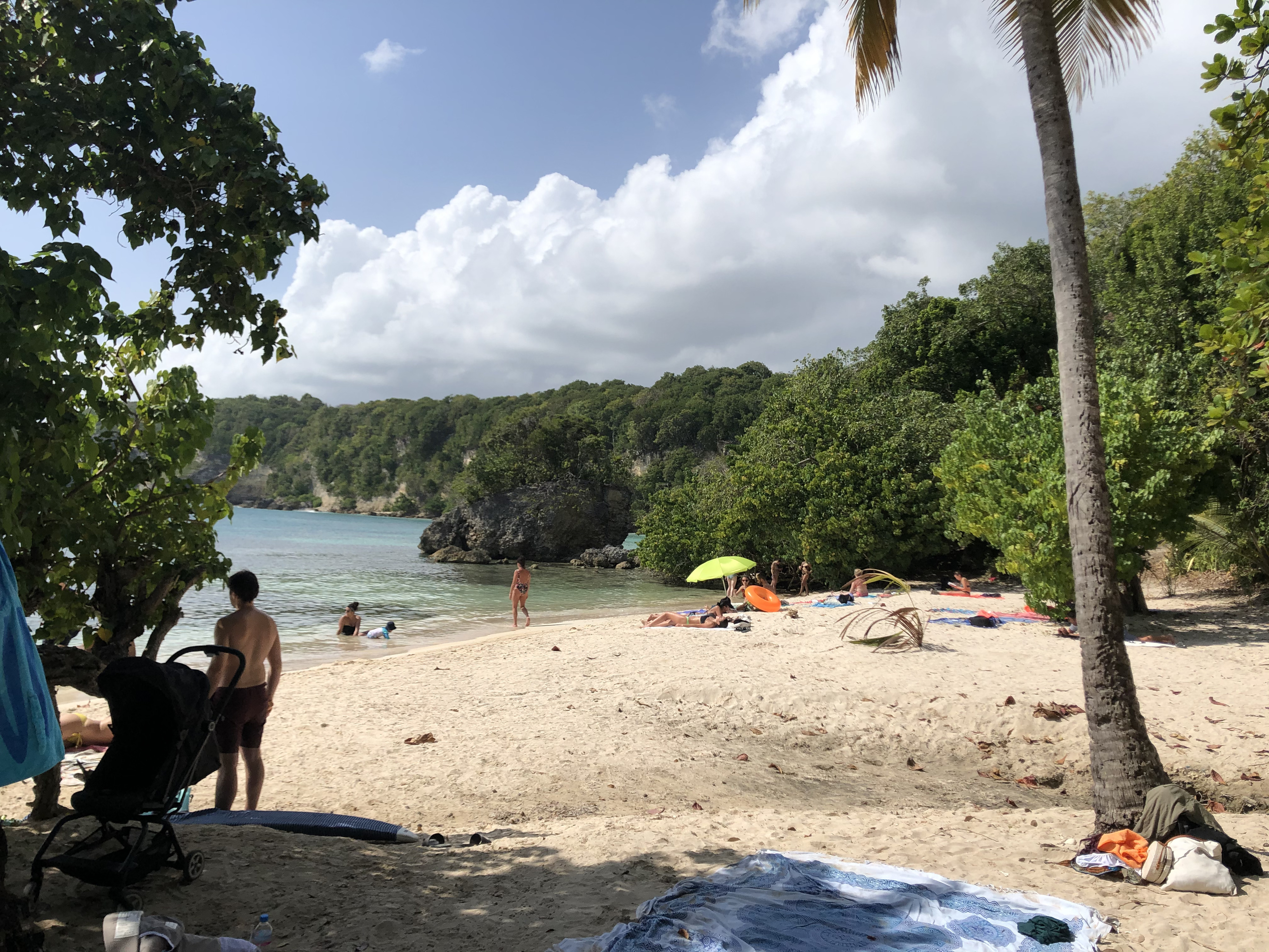 照片 瓜德罗普(Guadeloupe) 小阿弗尔海滩(Petit Havre Beach) 2021-02 25