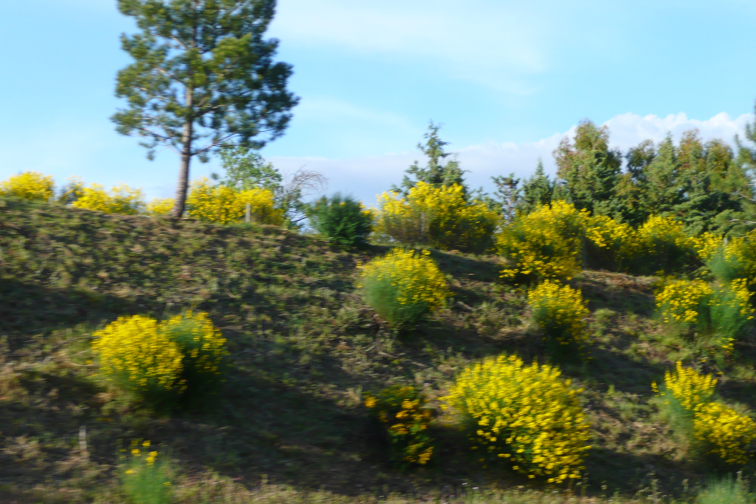 照片 法国(France) 蔚蓝海岸(French Riviera) A57高速公路(A57 highway) 2008-05 39