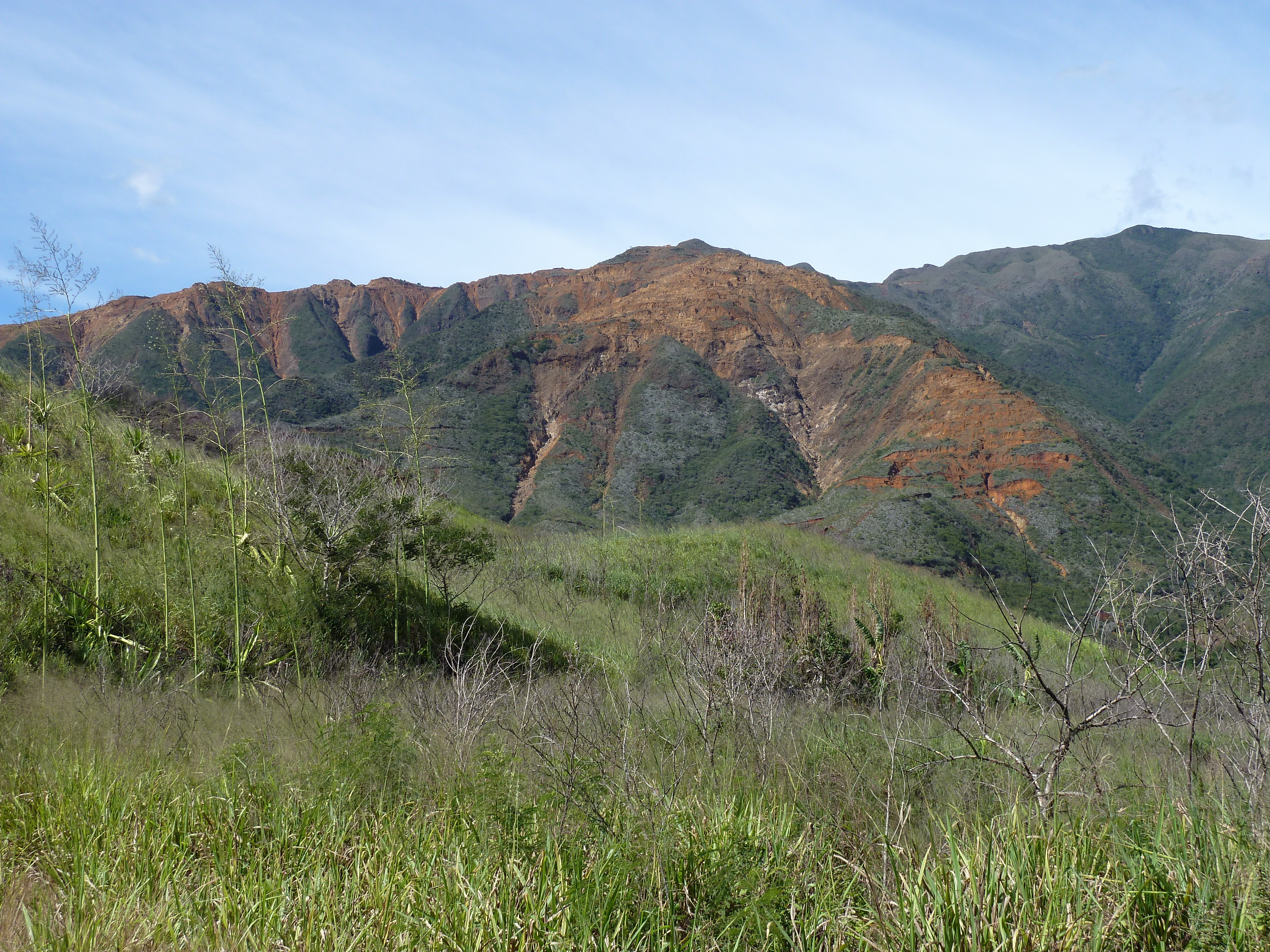 照片 新喀里多尼亚(New Caledonia) 通图塔至蒂奥公路(Tontouta to Thio road) 2010-05 115