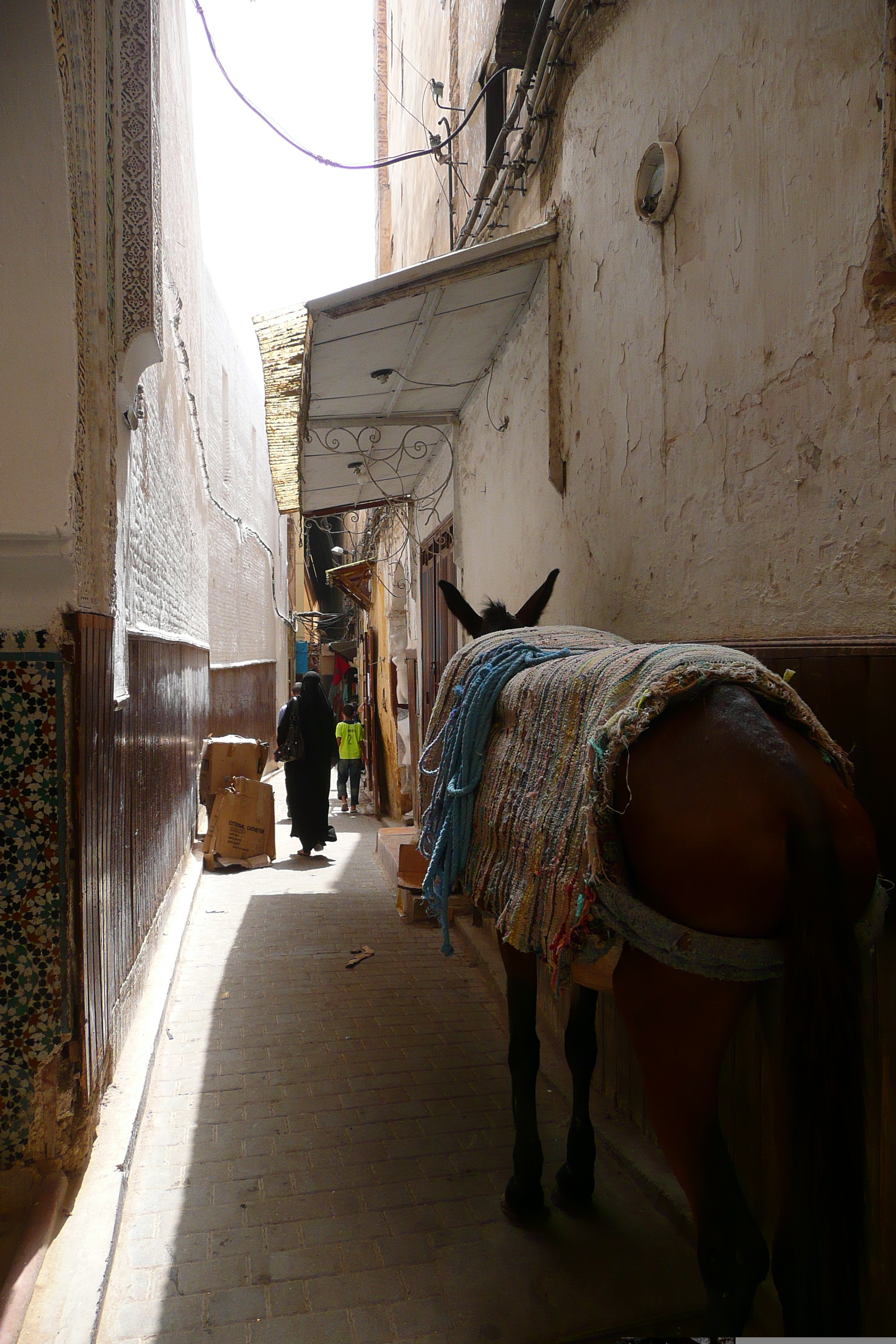 照片 摩洛哥(Morocco) 非斯(Fes) 2008-07 30