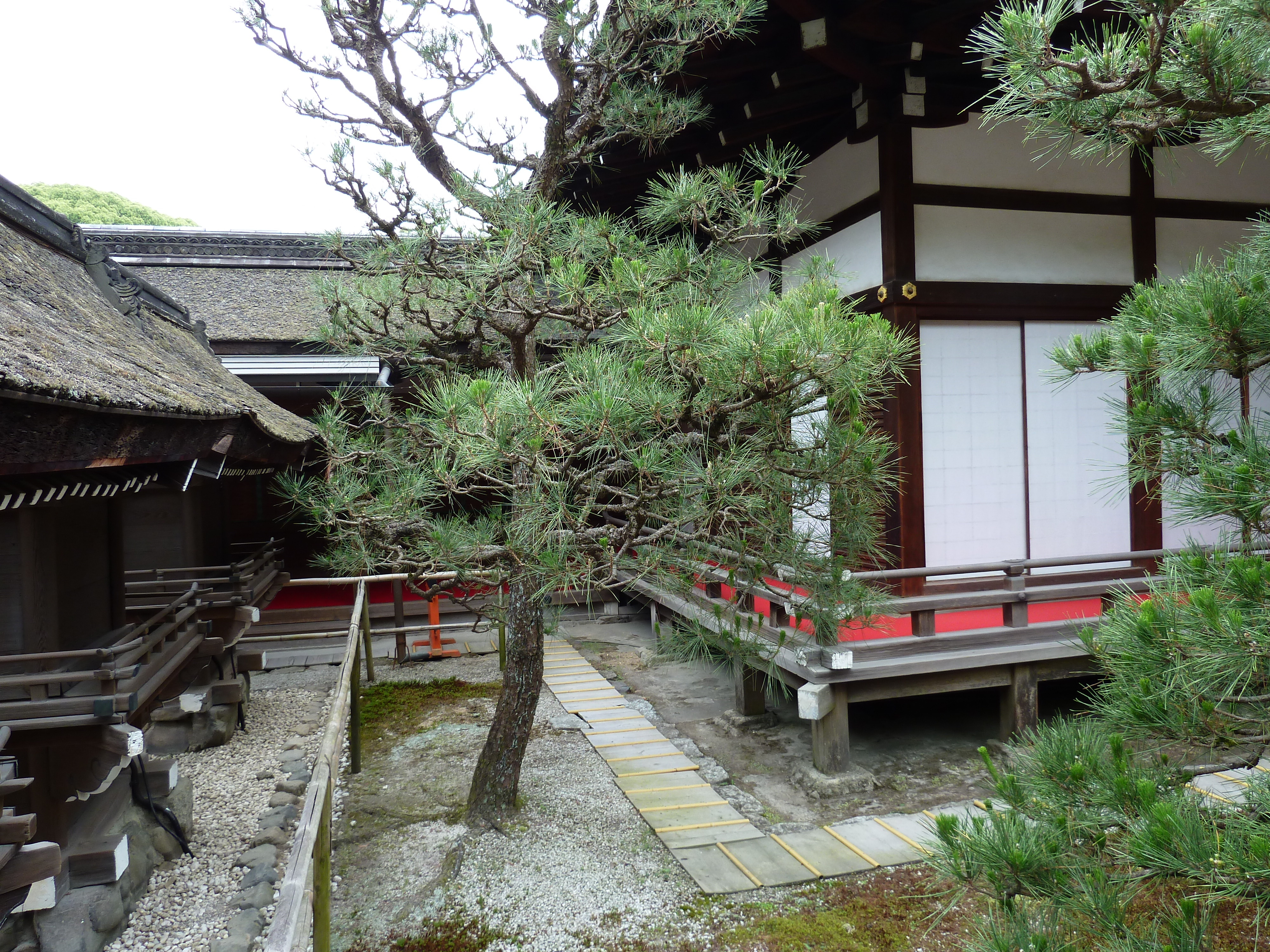 照片 日本(Japan) 京都(Kyoto) 下鸭神社(Kamomioya Shrine(Shimogamo Shrine)) 2010-06 42