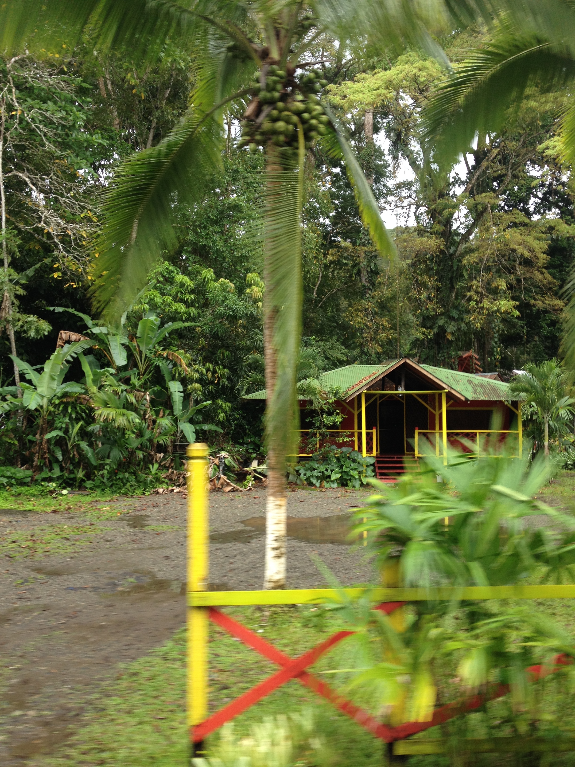 照片 哥斯达黎加(Costa Rica) 塔拉曼卡旧港(Puerto Viejo de Talamanca) 2015-03 61