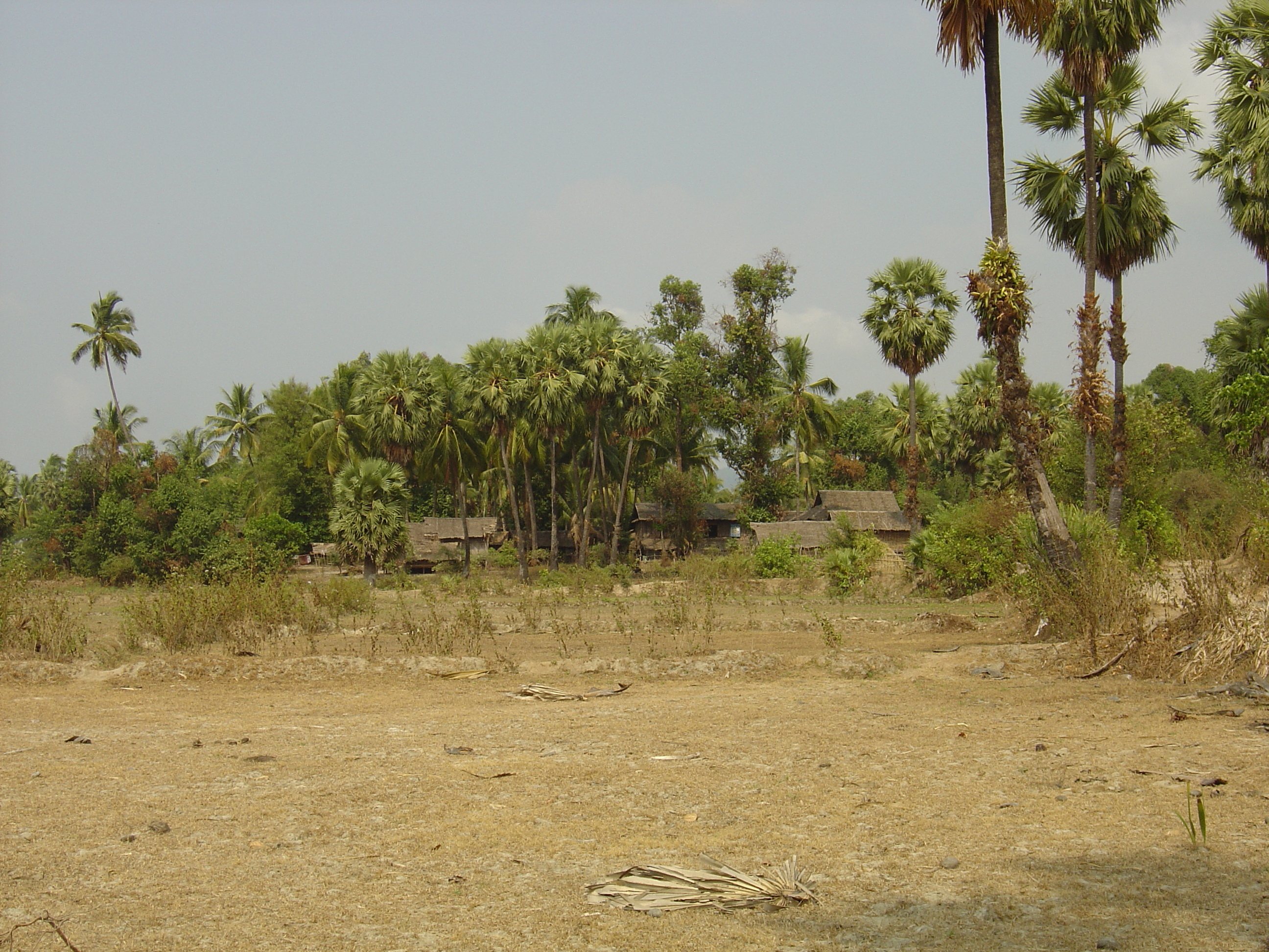 照片 缅甸(Myanmar) 茂马干北部(Maungmagan North) 2005-01 9