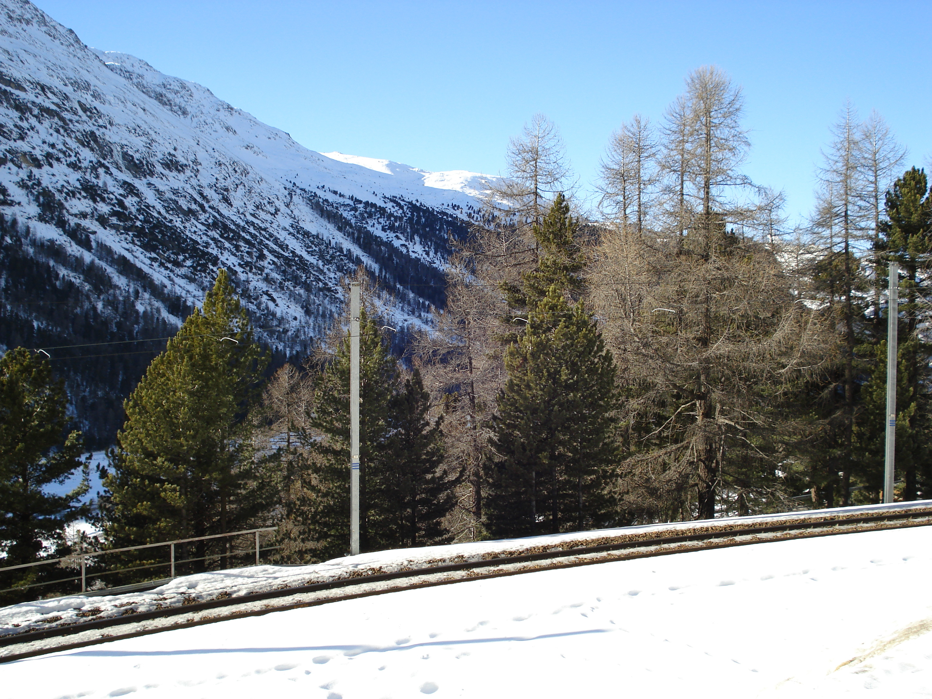 照片 瑞士(Switzerland) 蓬特雷西纳至比安科湖(From Pontresina to Lago Bianco) 2007-01 75