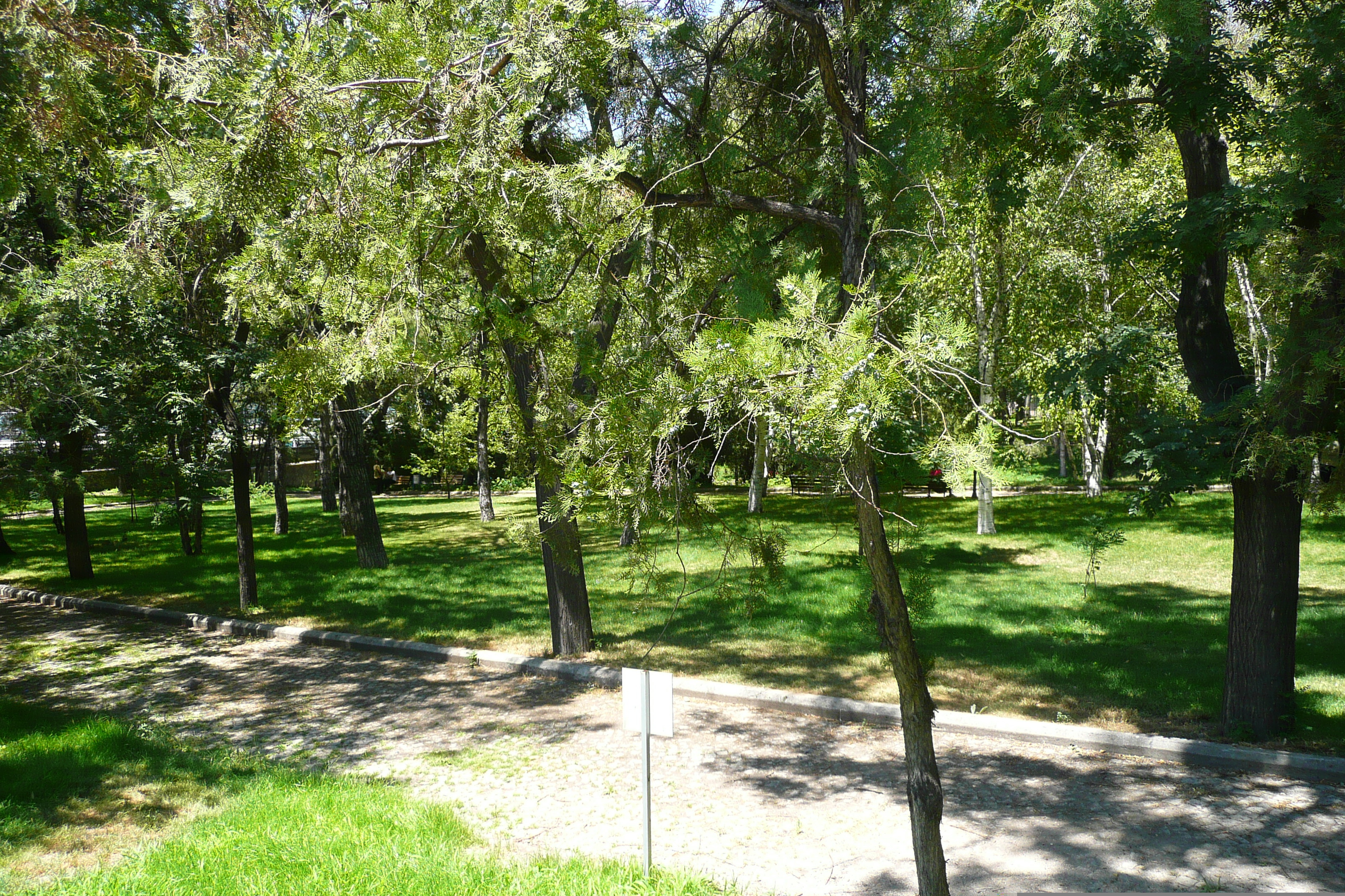 照片 土耳其(Turkey) 安卡拉(Ankara) 2008-07 66