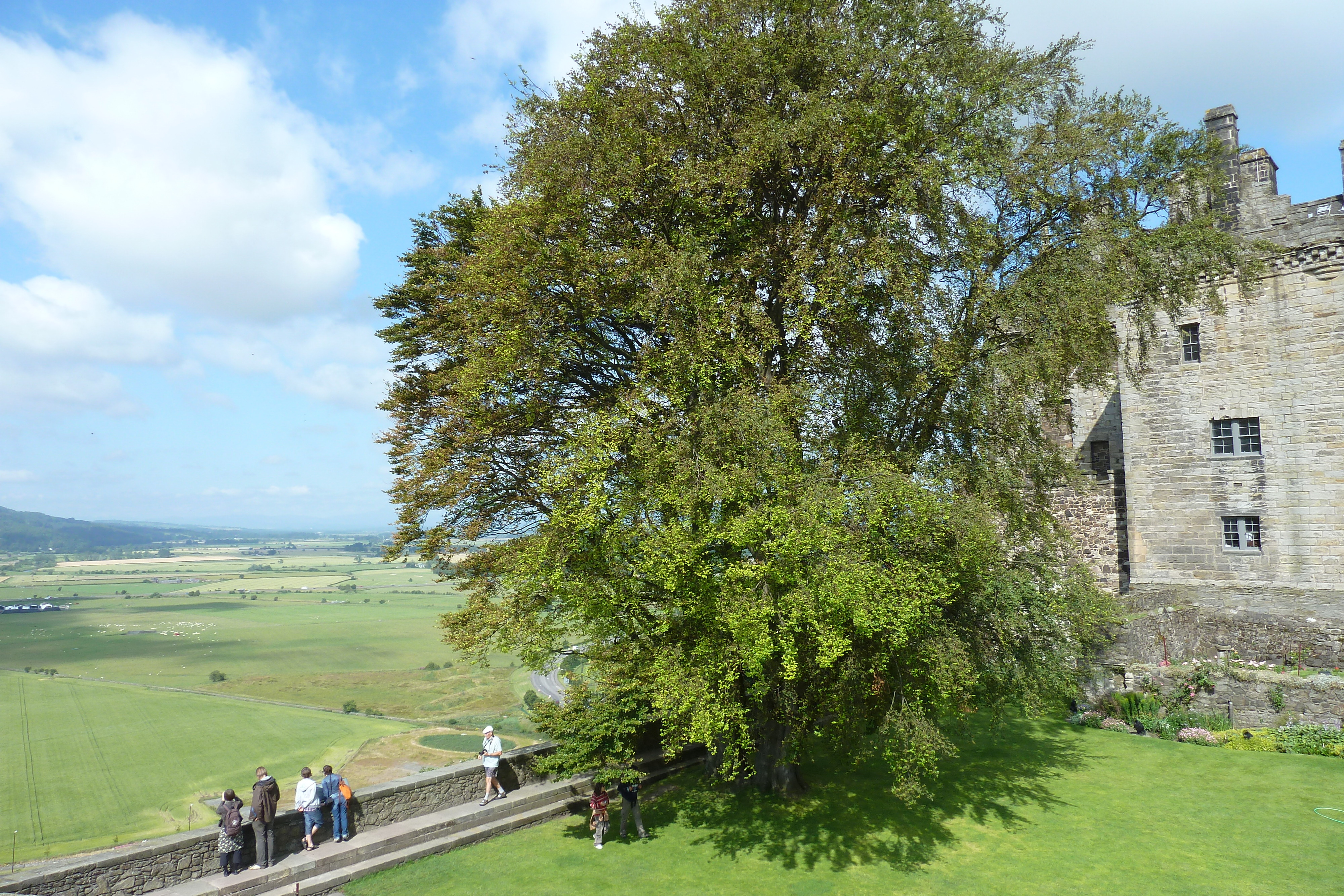 照片 英国(United Kingdom) 苏格兰(Scotland) 斯特灵(Stirling) 2011-07 54