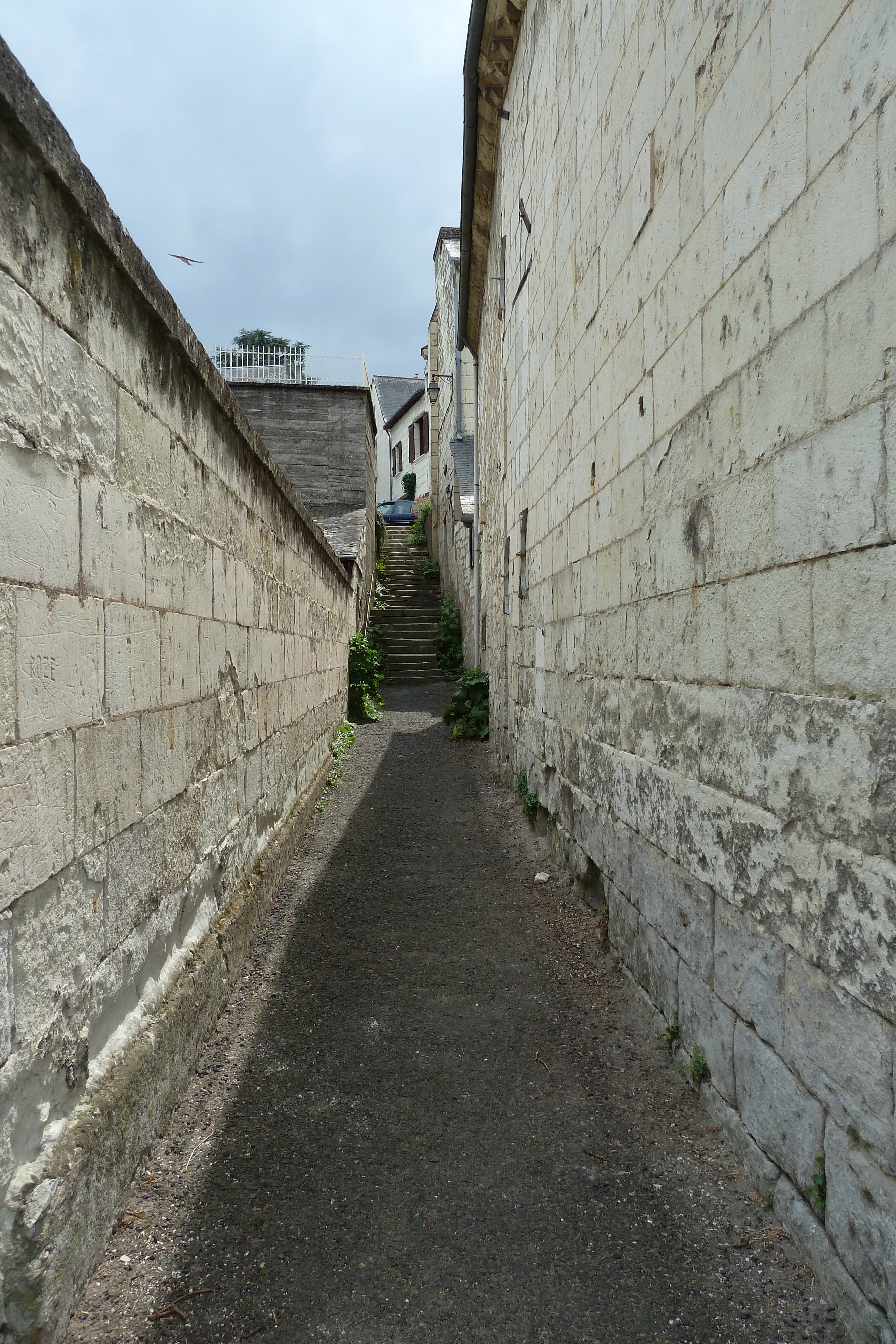 照片 法国(France) 蒙索罗城堡(Montsoreau Castle) 2011-05 62