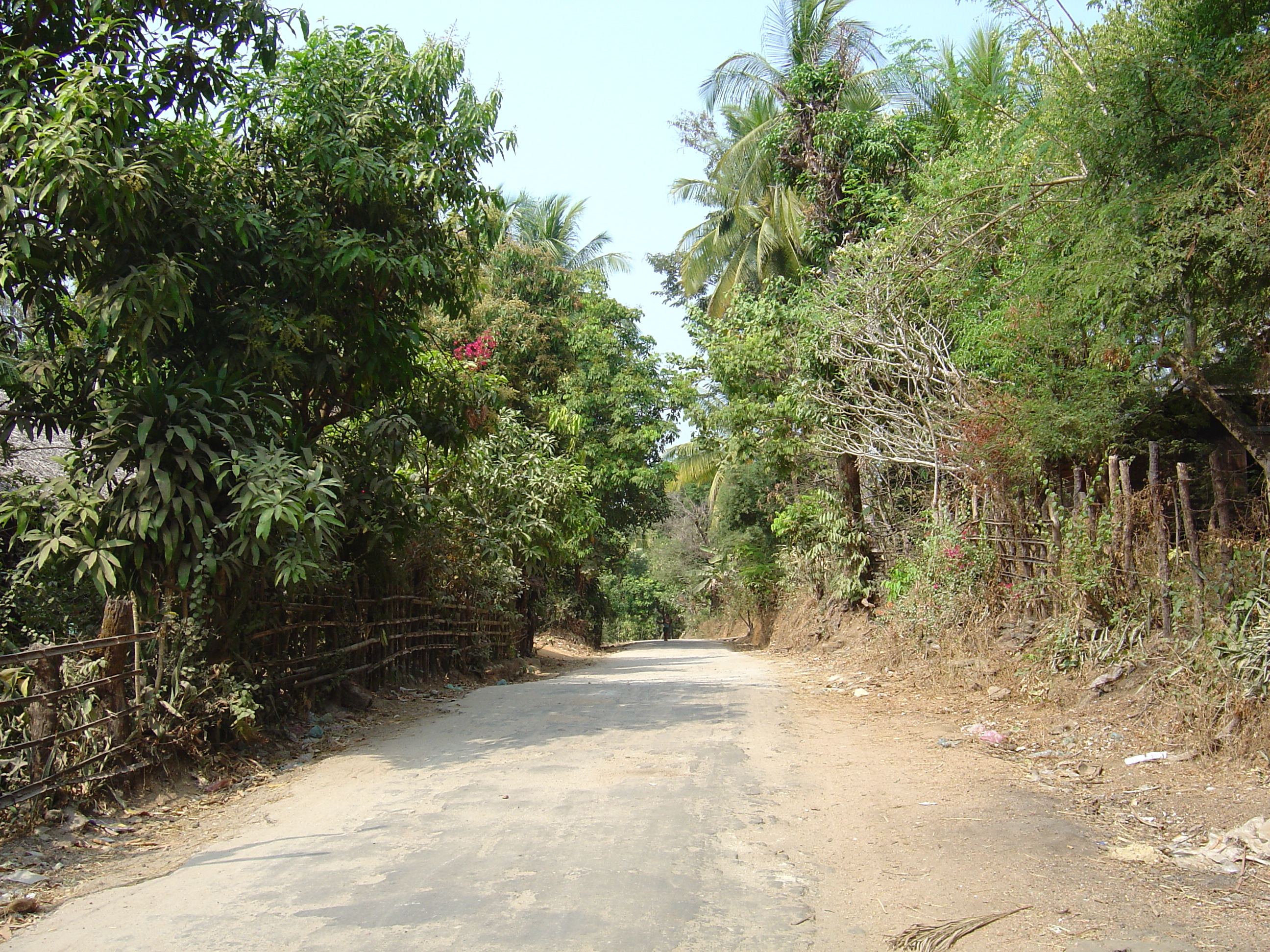 照片 缅甸(Myanmar) 茂马干北部(Maungmagan North) 2005-01 12