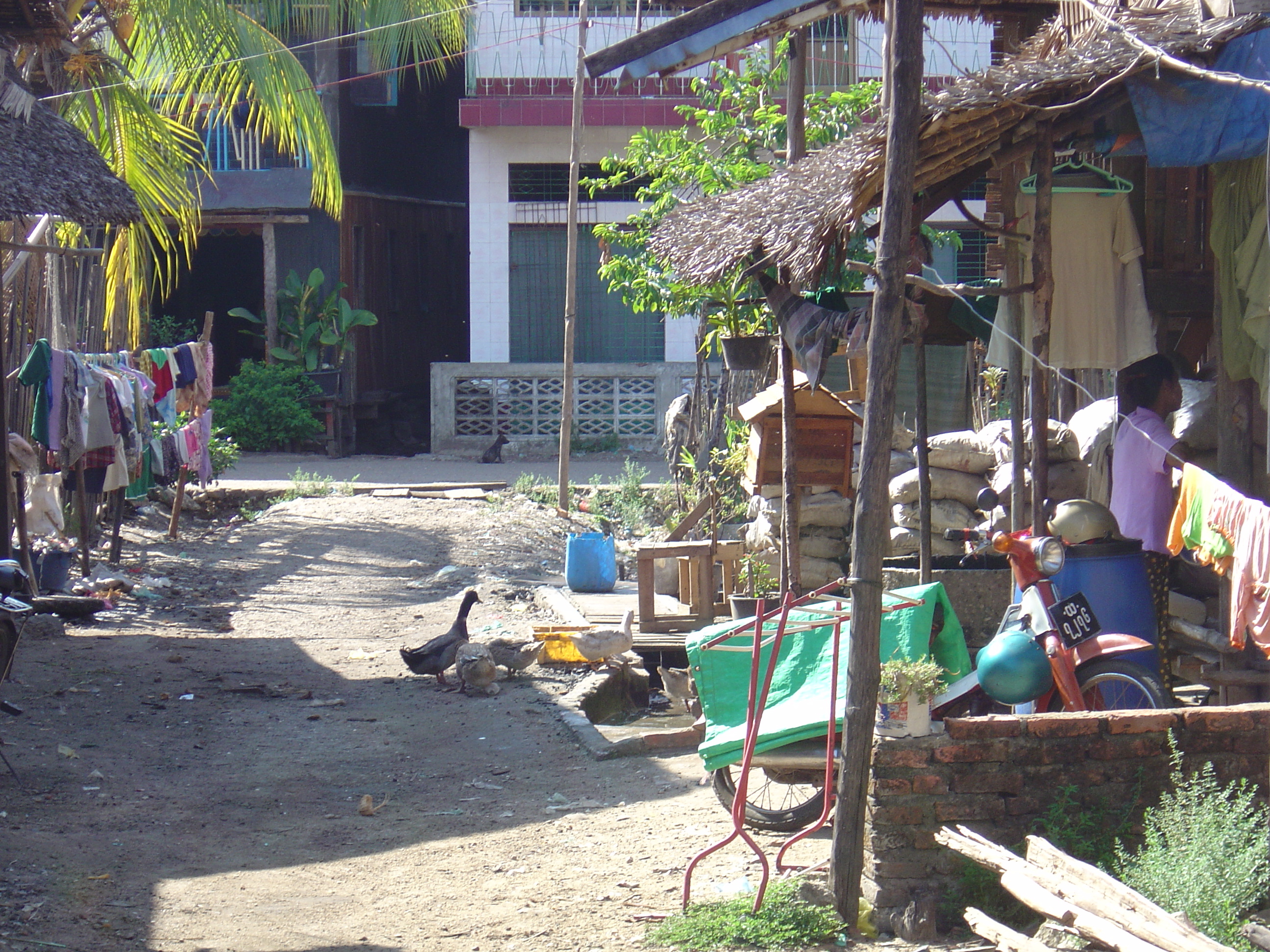 照片 缅甸(Myanmar) 丹老(Myeik (Mergui)) 2005-01 168