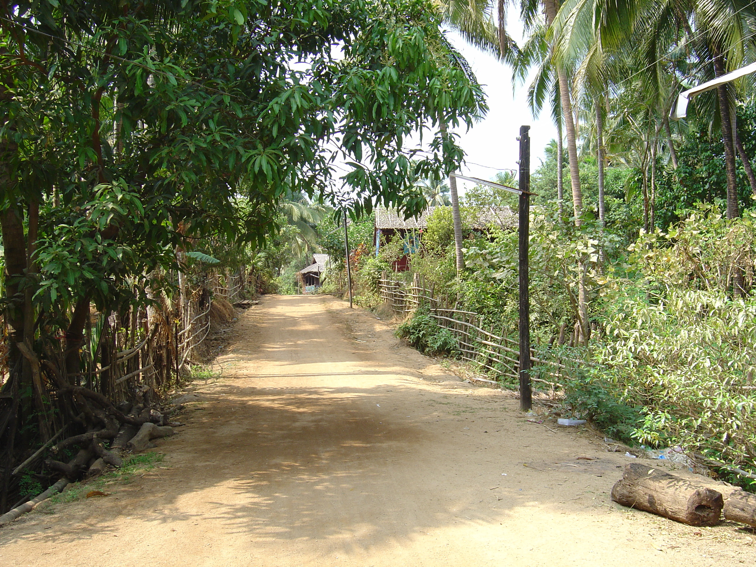 照片 缅甸(Myanmar) 茂马干北部(Maungmagan North) 2005-01 5
