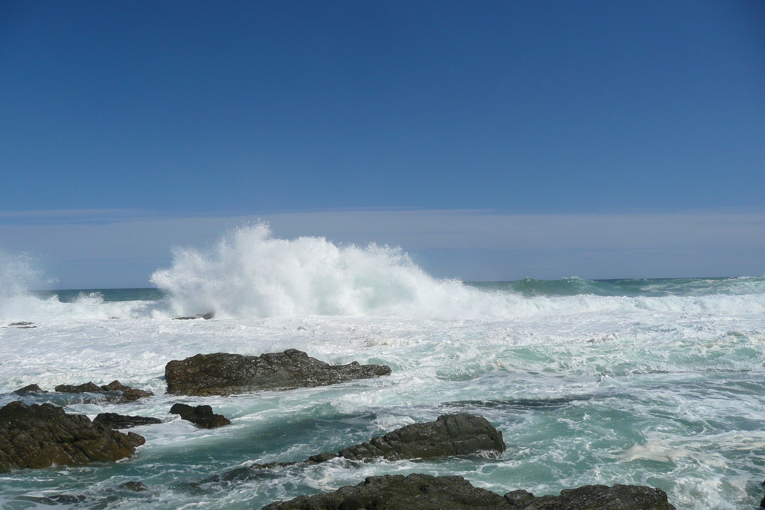 照片 南非(South Africa) 齐齐卡马国家公园(Tsitsikamma National Park) 2008-09 276