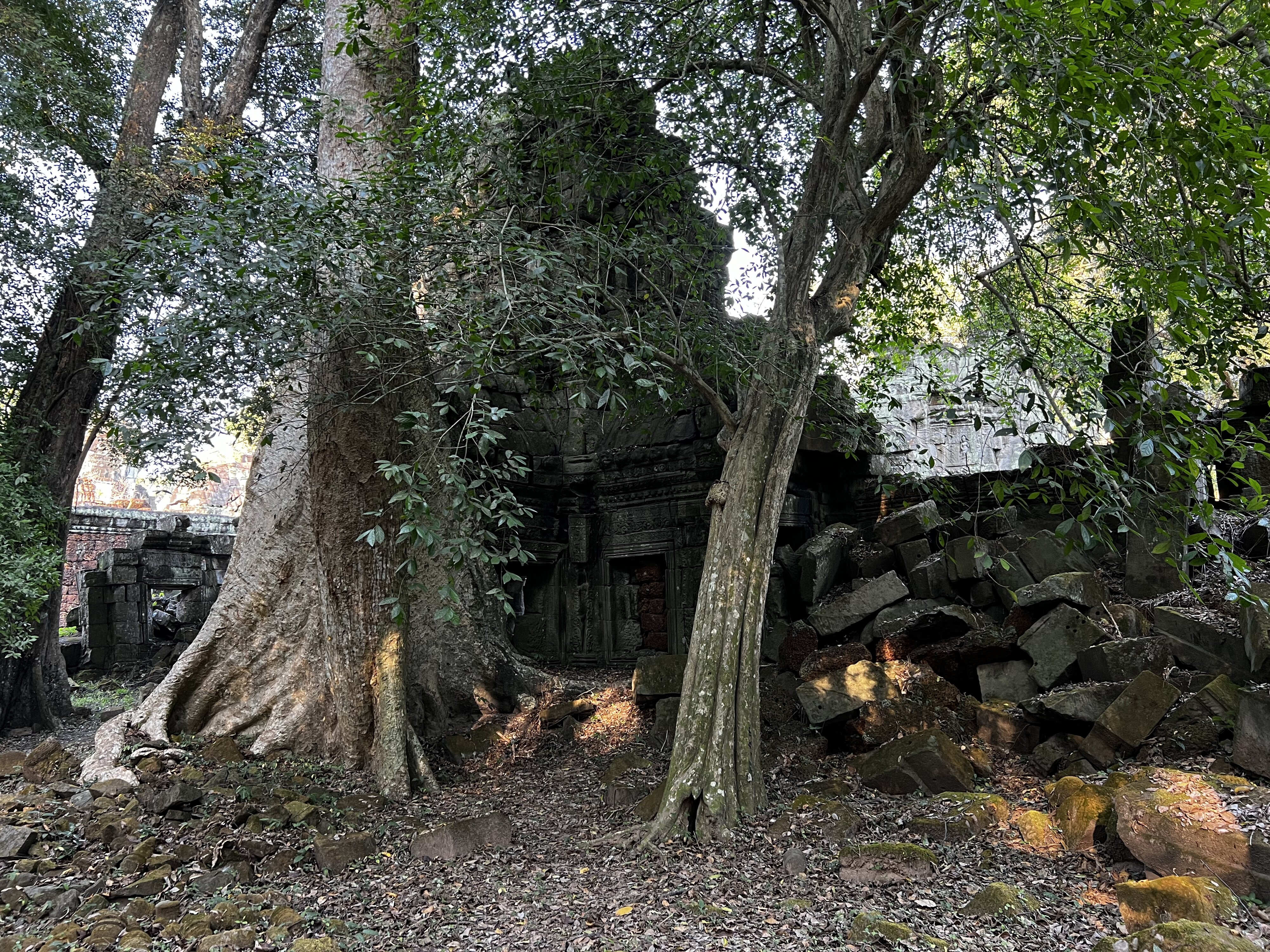 照片 柬埔寨(Cambodia) 暹粒(Siem Reap) 圣剑寺(Preah Khan) 2023-01 74