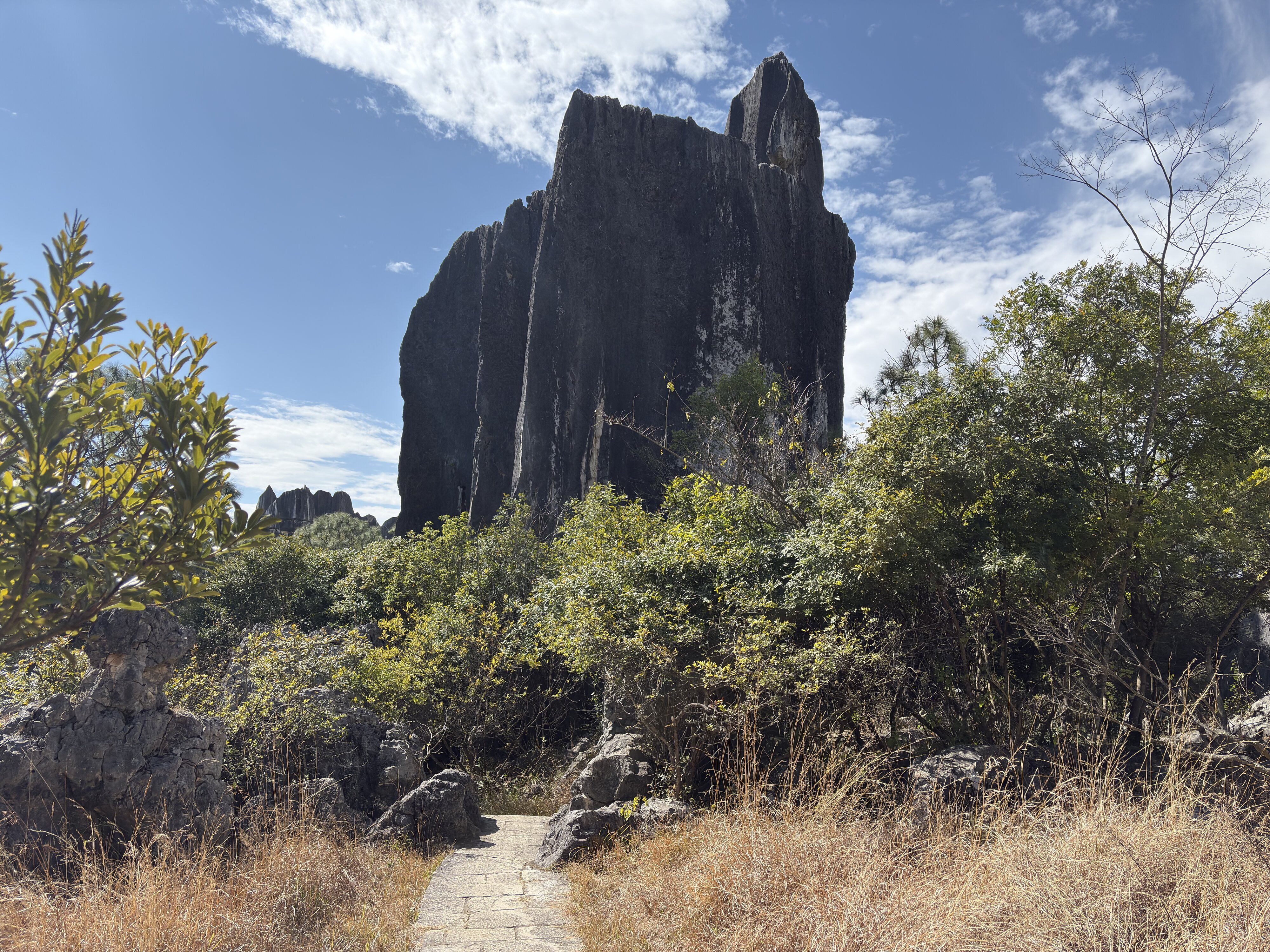 照片 中国(China) 石林(Shilin Stone Forest) 2026-01 63