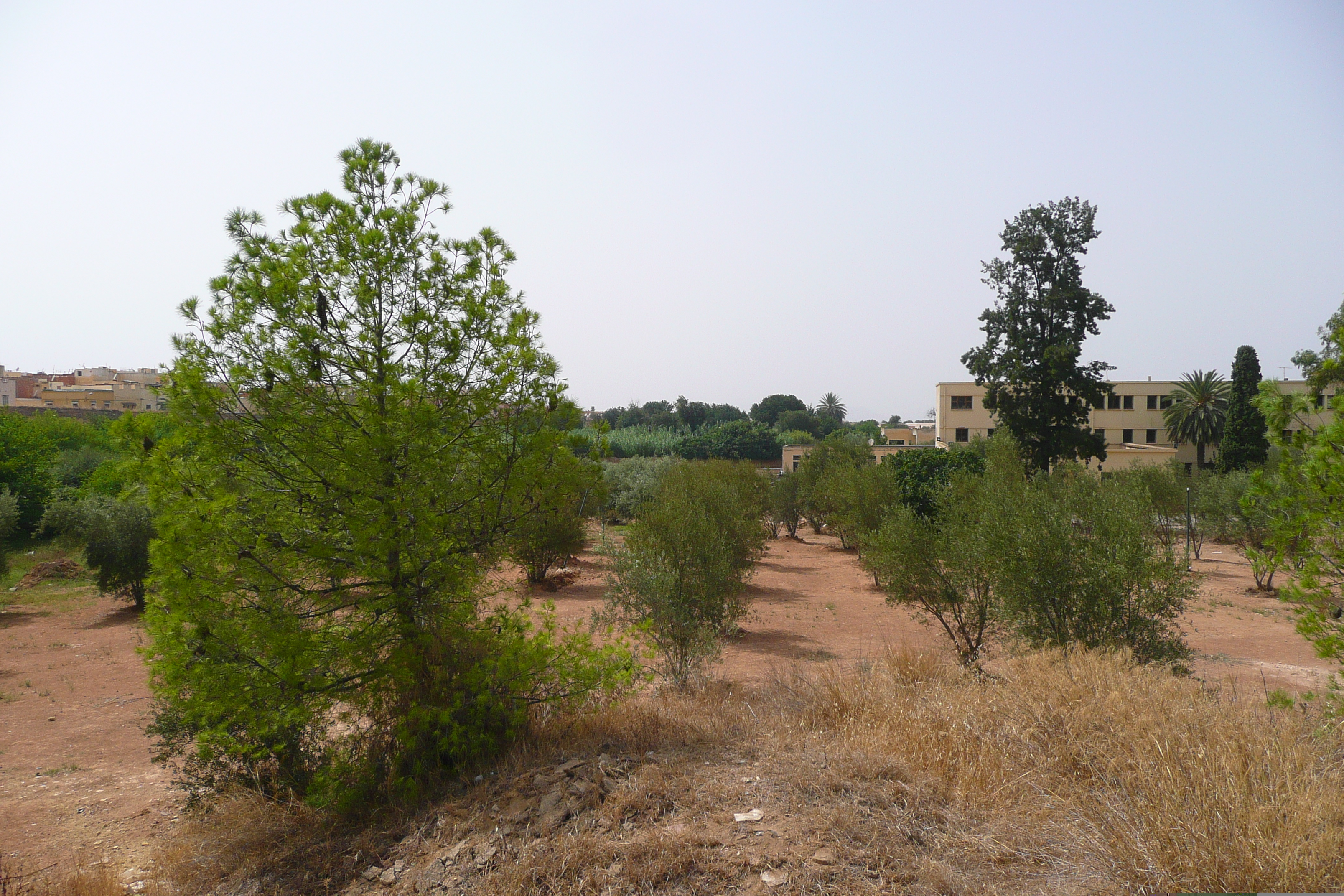 照片 摩洛哥(Morocco) 梅克内斯(Meknes) 2008-07 82