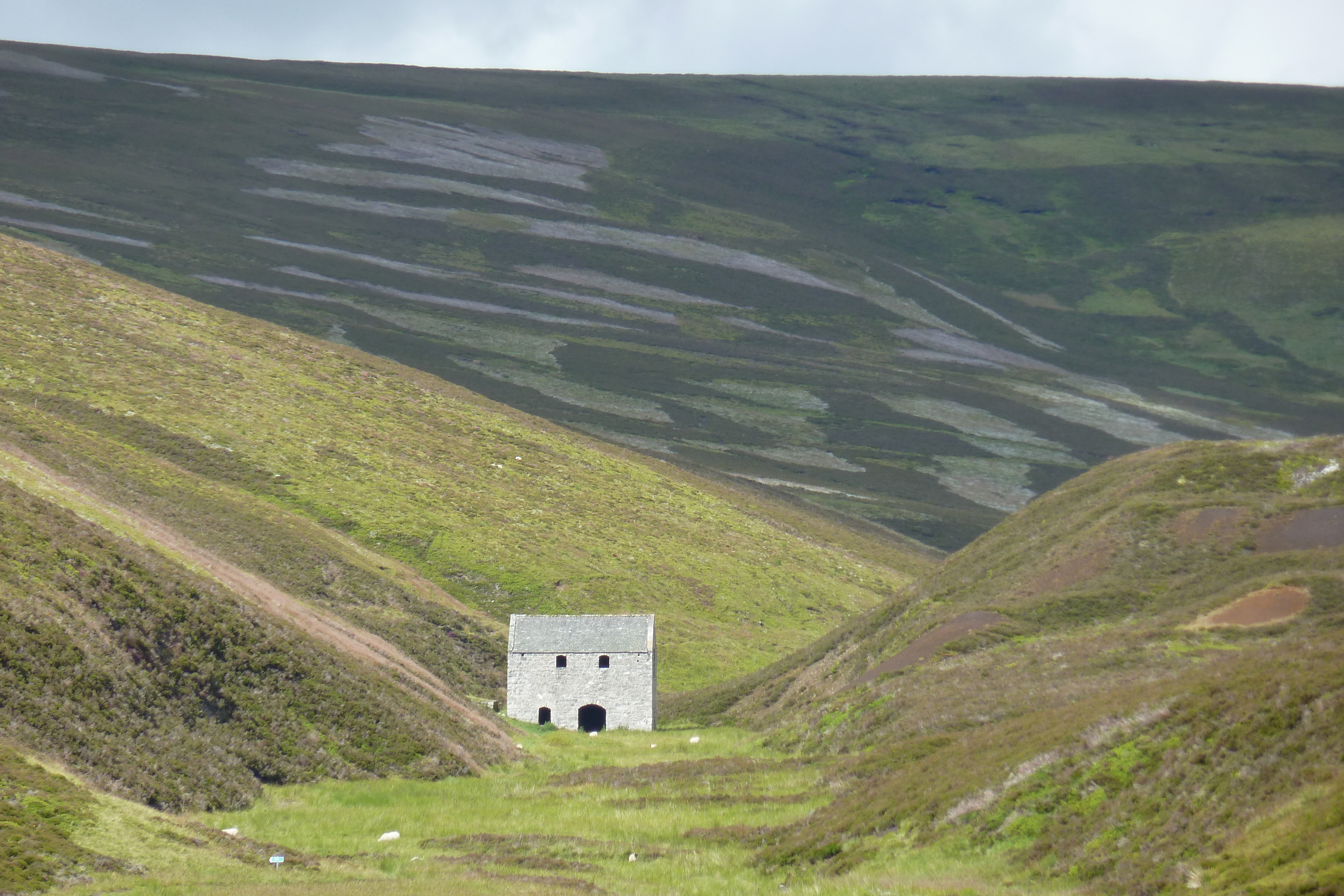 照片 英国(United Kingdom) 凯恩戈姆山国家公园(Cairngorms National Park) 2011-07 38
