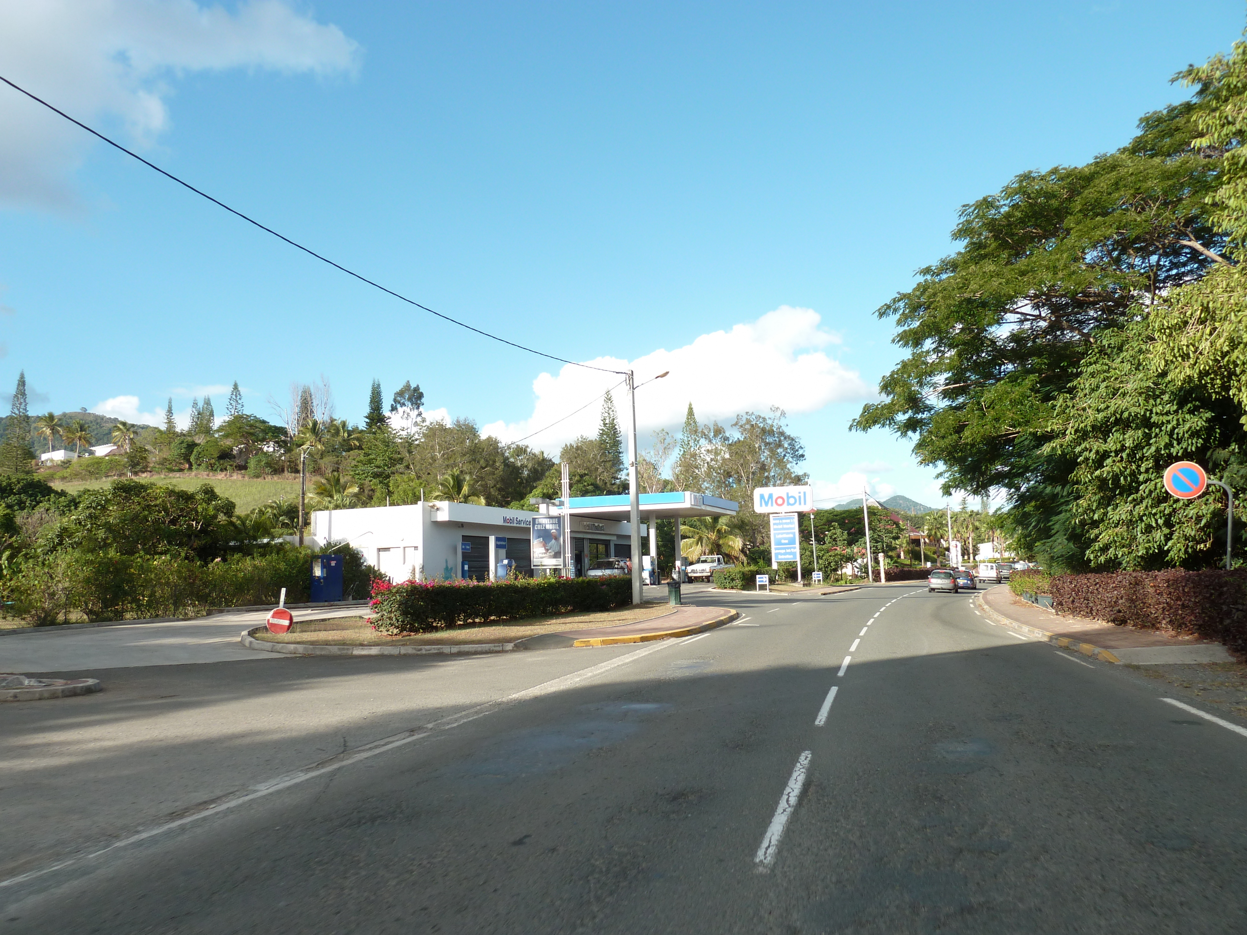 照片 新喀里多尼亚(New Caledonia) 卡纳拉至拉福阿公路(Canala to La Foa road) 2010-05 35